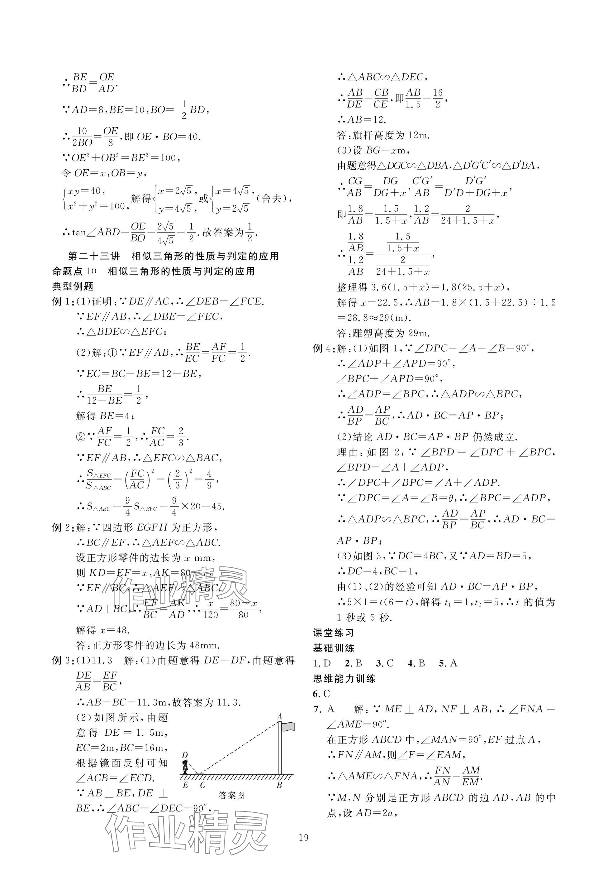 2025年復(fù)習(xí)直通車中考數(shù)學(xué)沖刺北師大版 參考答案第19頁(yè)