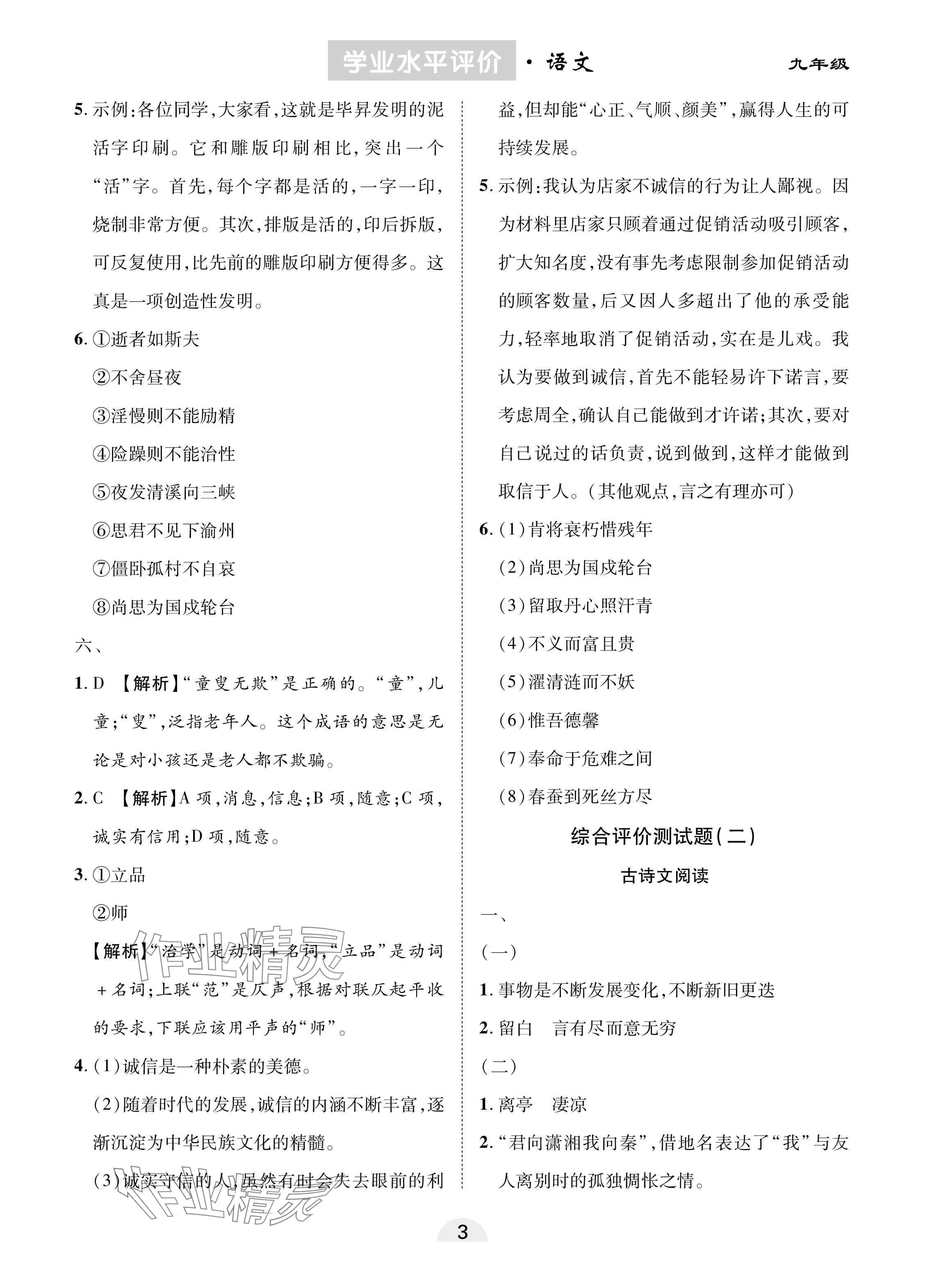 2025年學(xué)業(yè)水平評價同步檢測卷九年級語文下冊人教版 參考答案第3頁