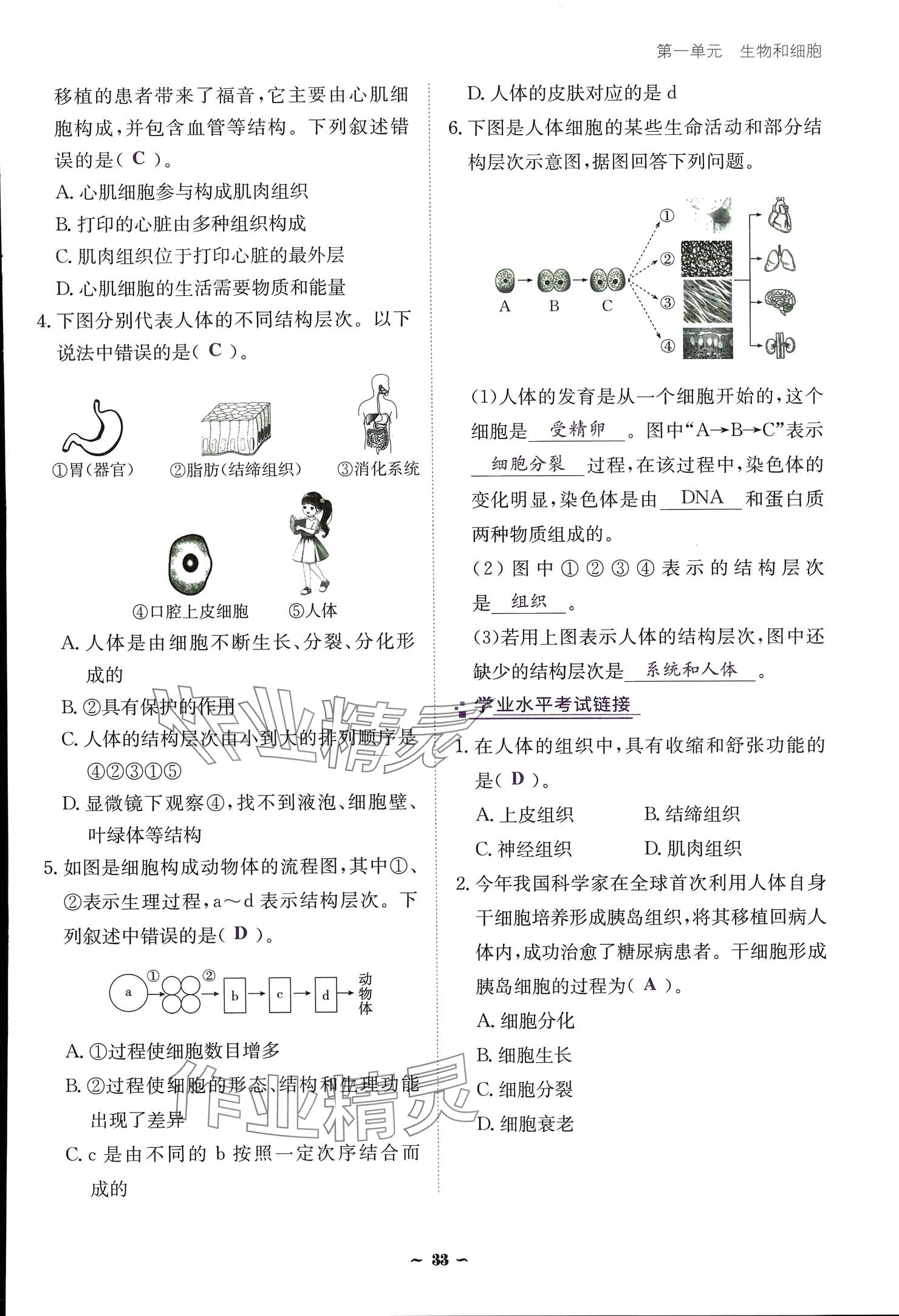 2024云南省標準教輔優(yōu)佳學案七年級生物上冊 參考答案第33頁