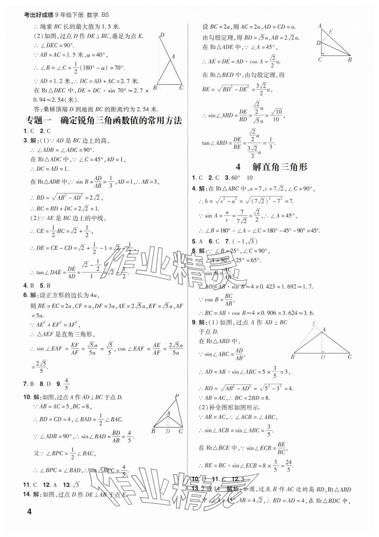 2025年考出好成績九年級數學下冊北師大版山東專版 參考答案第3頁