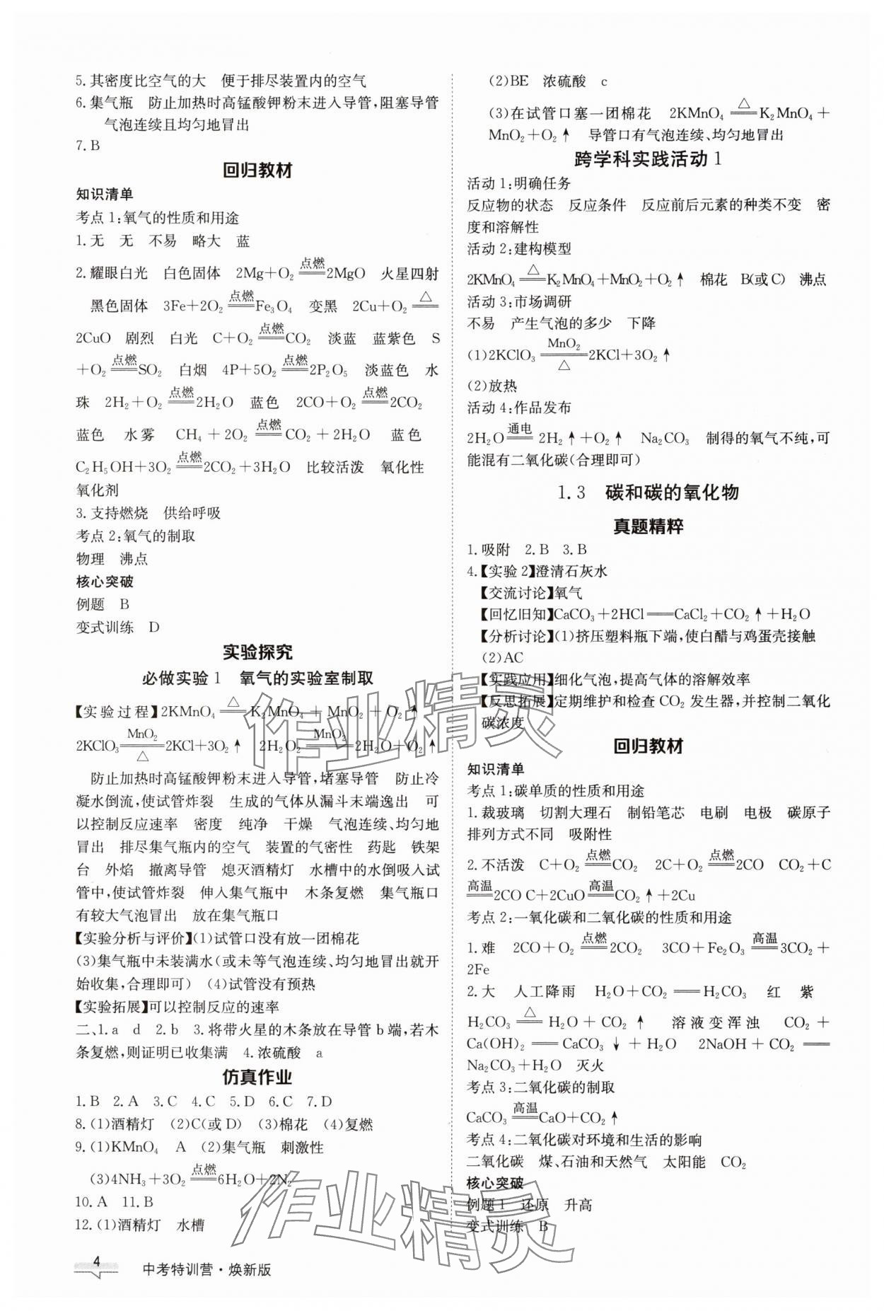 2025年中考特训营化学河北专版&nbsp;第4页