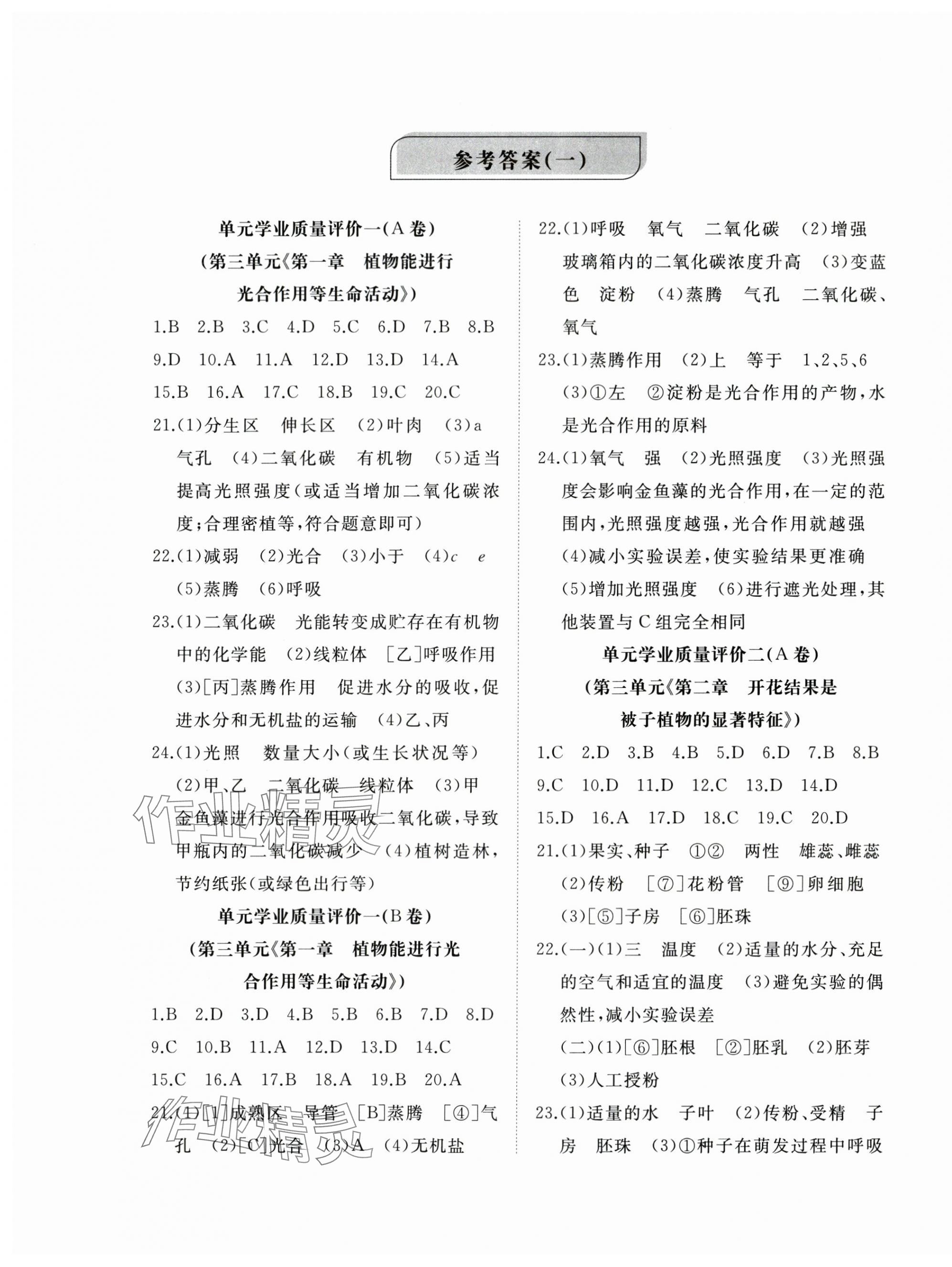 2025年精練課堂分層作業七年級生物下冊濟南版 參考答案第1頁