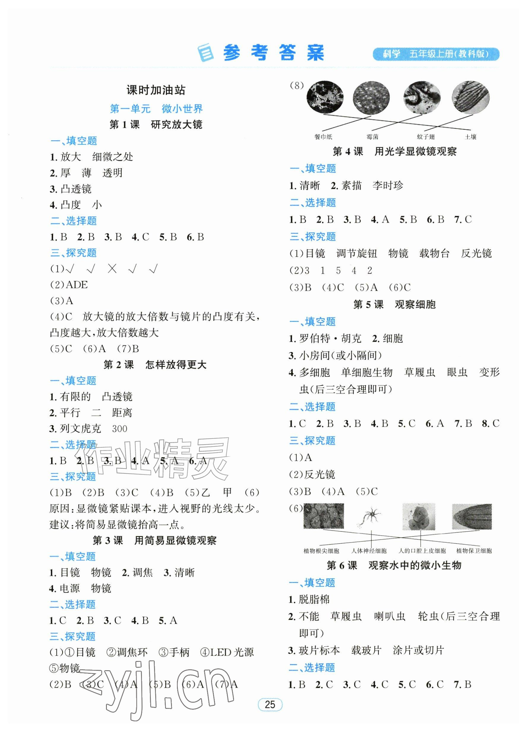 2026年励耘天天练五年级科学上册教科版&nbsp;第1页