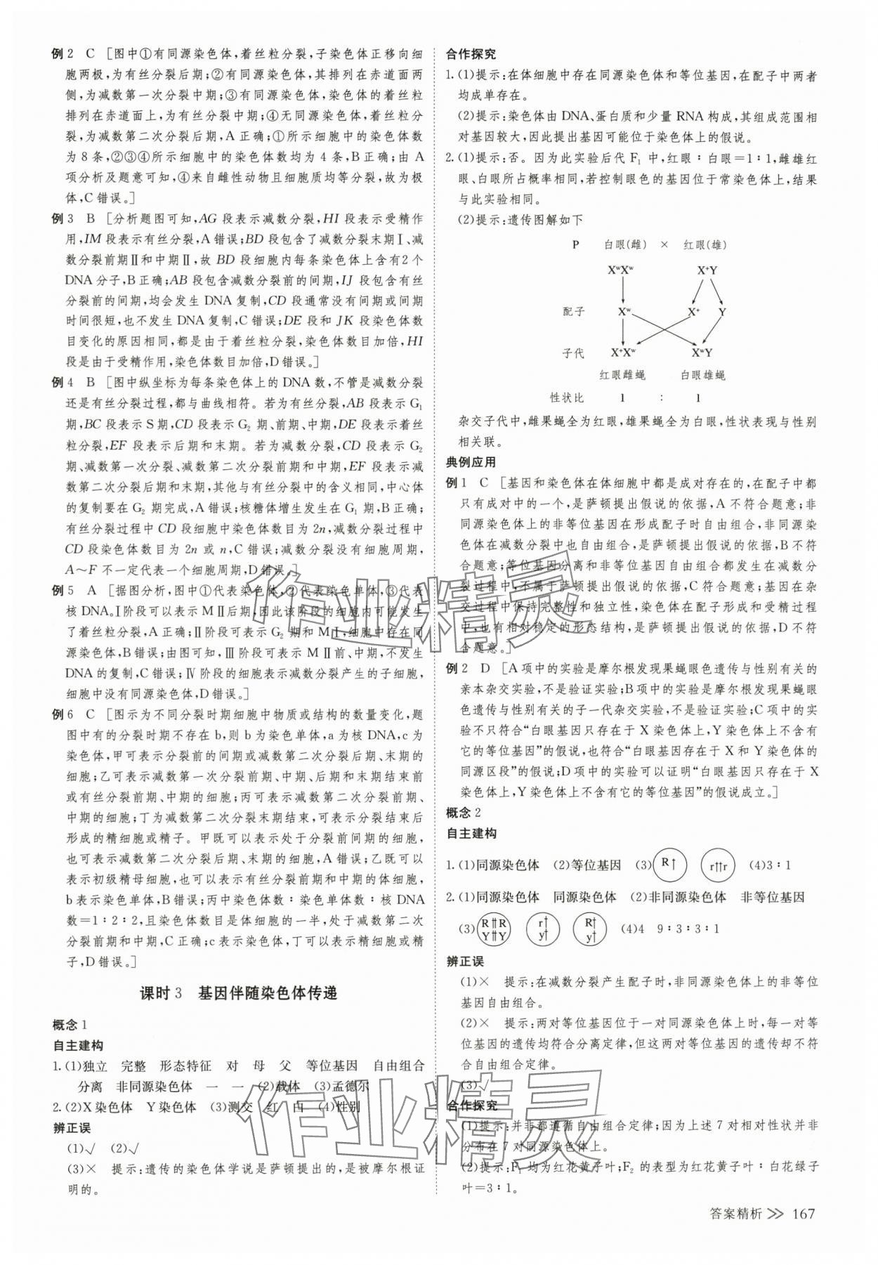 2025年創新設計高中生物必修2浙科版 第10頁