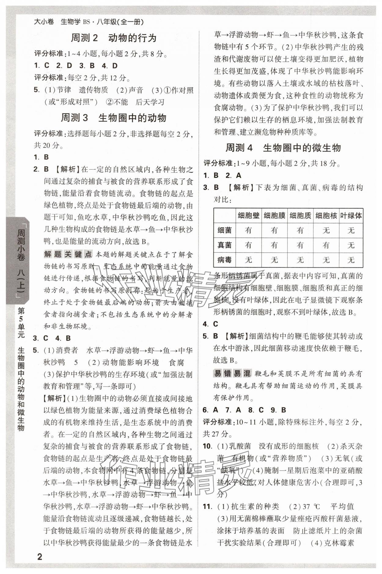 2025年萬唯中考大小卷八年級生物全一冊北師大版 參考答案第2頁