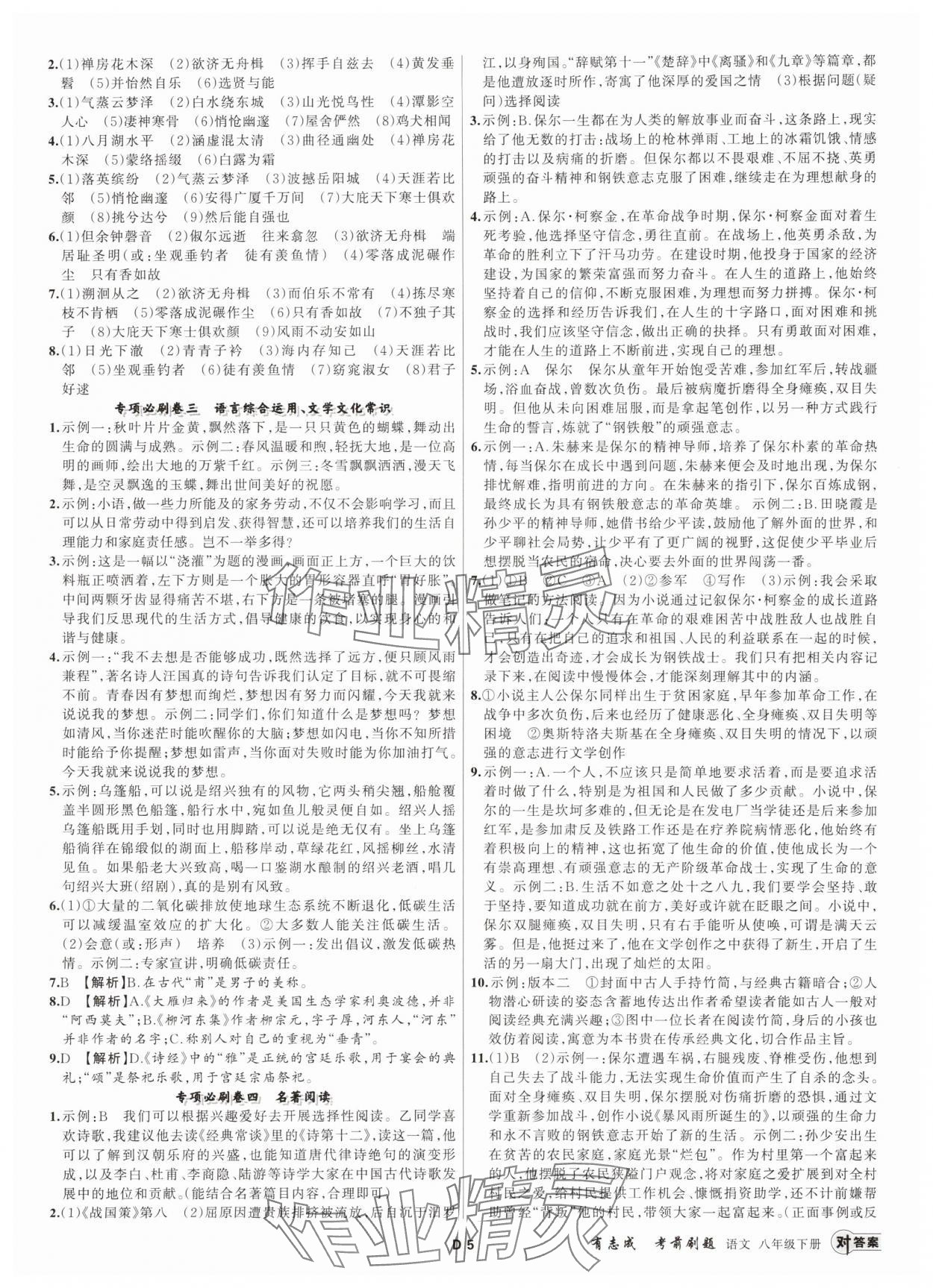 2025年有志成考前刷題八年級(jí)語(yǔ)文下冊(cè)人教版 第5頁(yè)