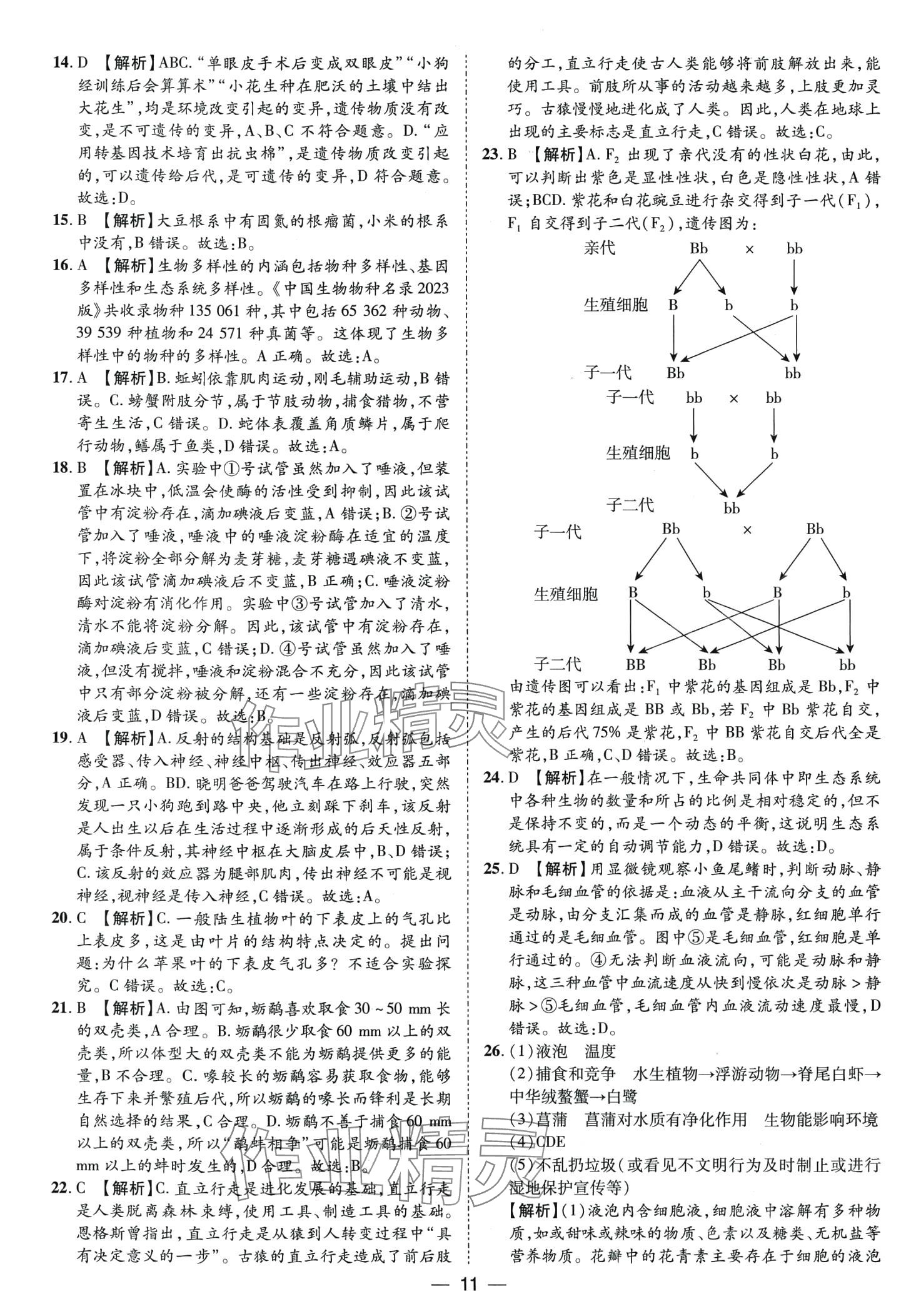 2024年鲁人泰斗中考必备中考试题汇编生物中考山东专版&nbsp;第11页