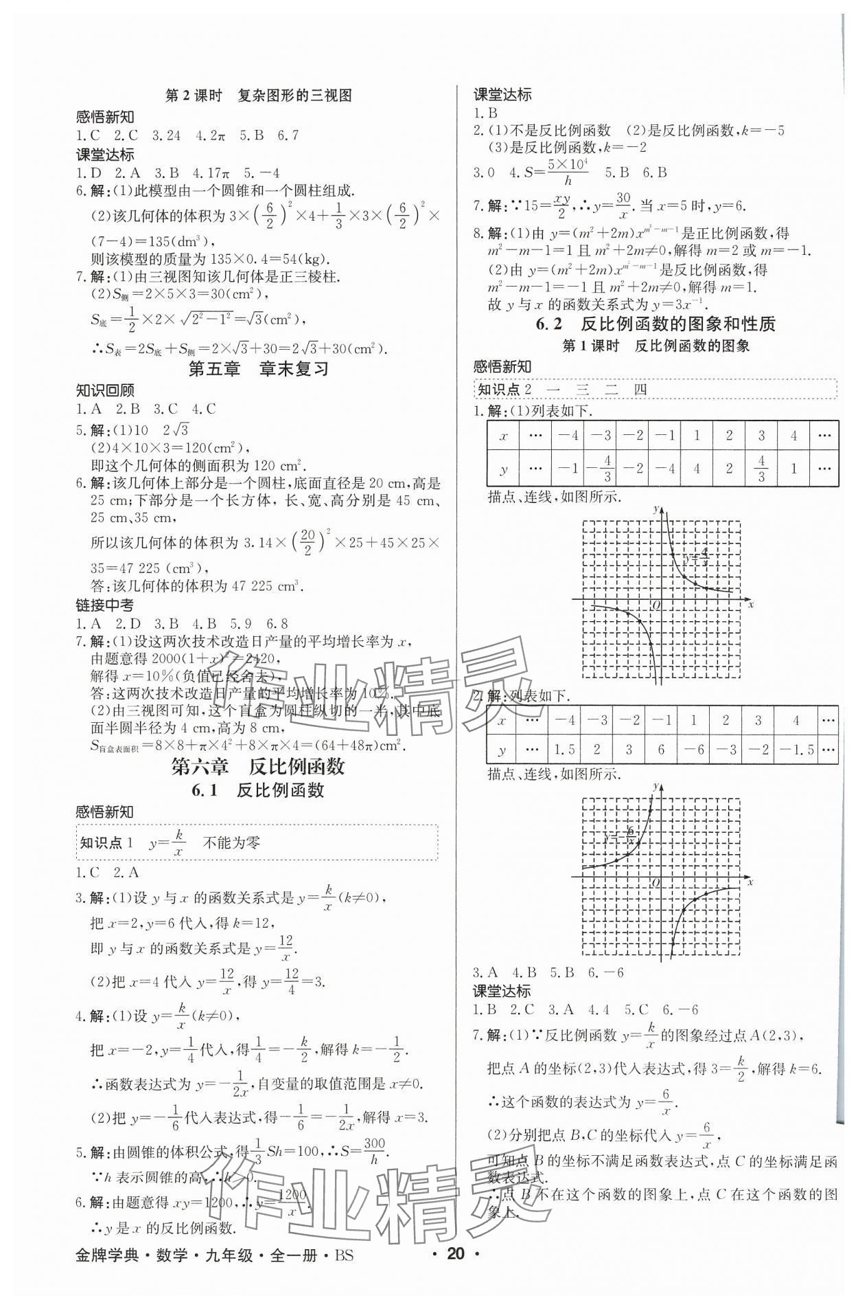 2023年金牌學(xué)典九年級數(shù)學(xué)全一冊北師大版 參考答案第20頁