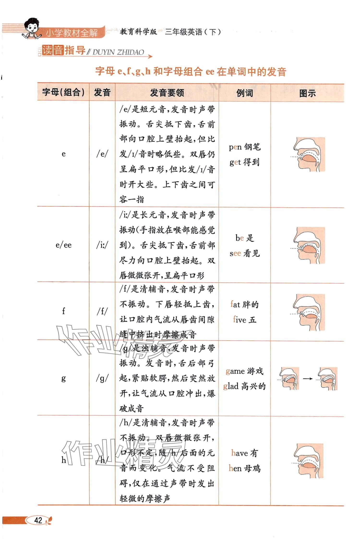 2024年教材課本三年級(jí)英語(yǔ)下冊(cè)教科版 第42頁(yè)