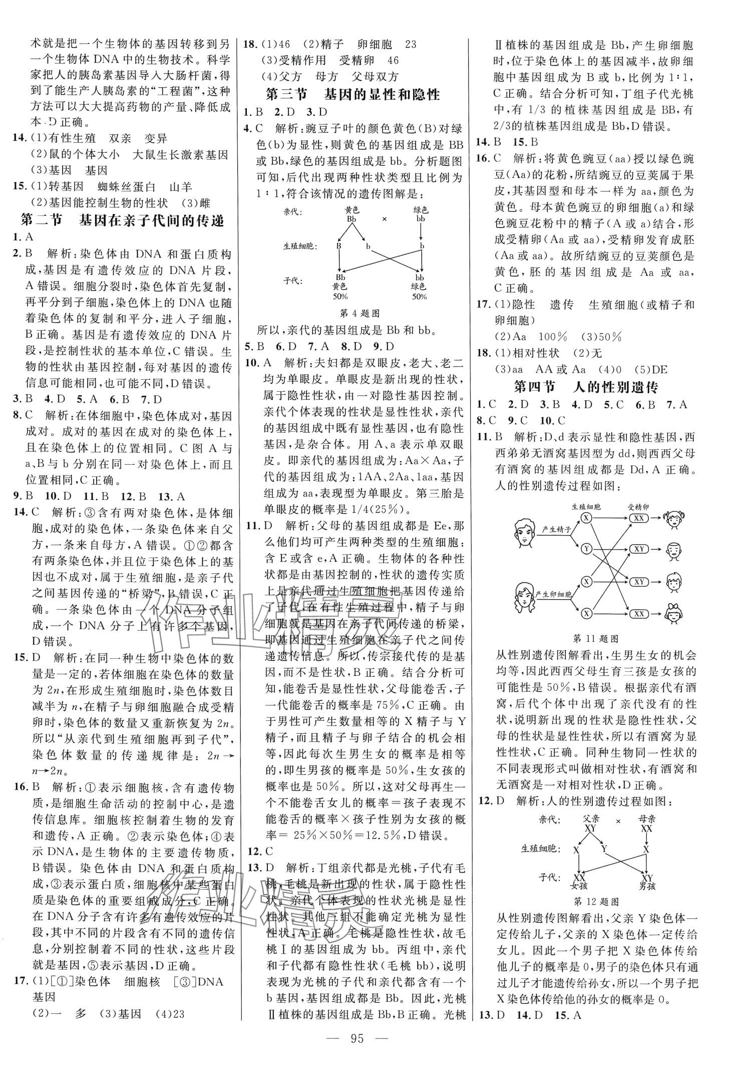 2024年細解巧練八年級生物下冊人教版 第3頁