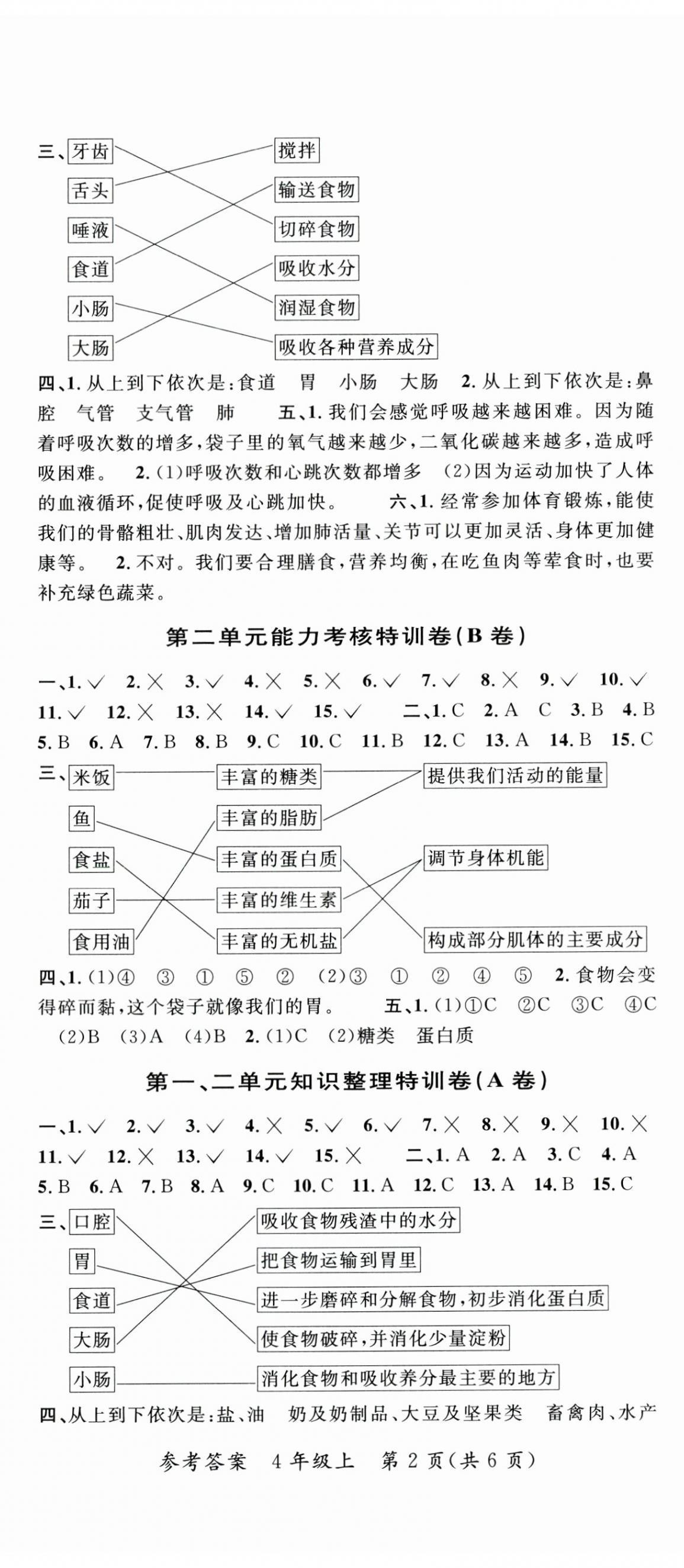 2024年特训卷四年级科学上册教科版 第2页