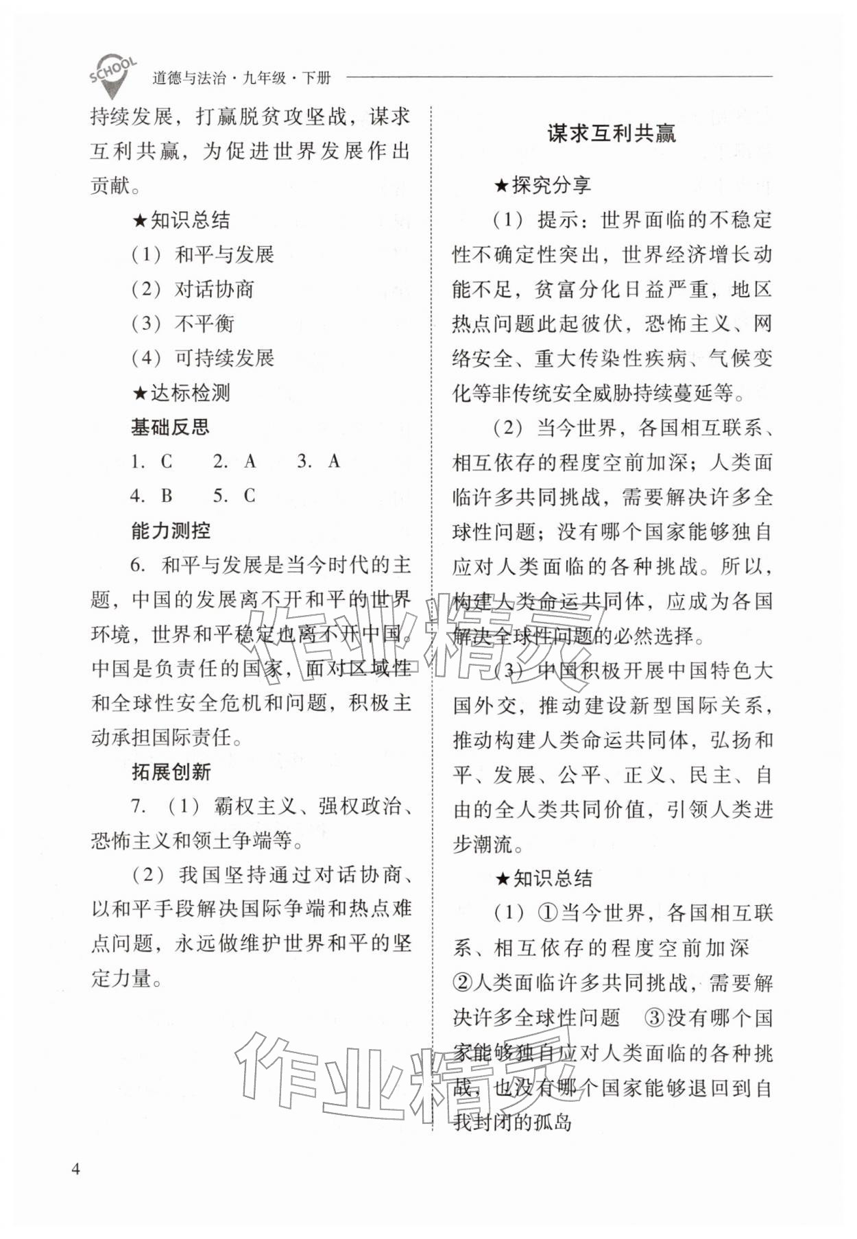 2026年新课程问题解决导学方案九年级道德与法治下册人教版&nbsp;参考答案第4页