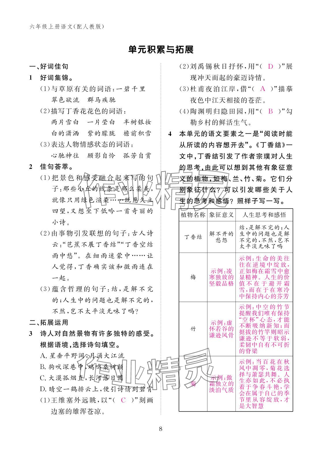 2025年作业本江西教育出版社六年级语文上册人教版 参考答案第8页