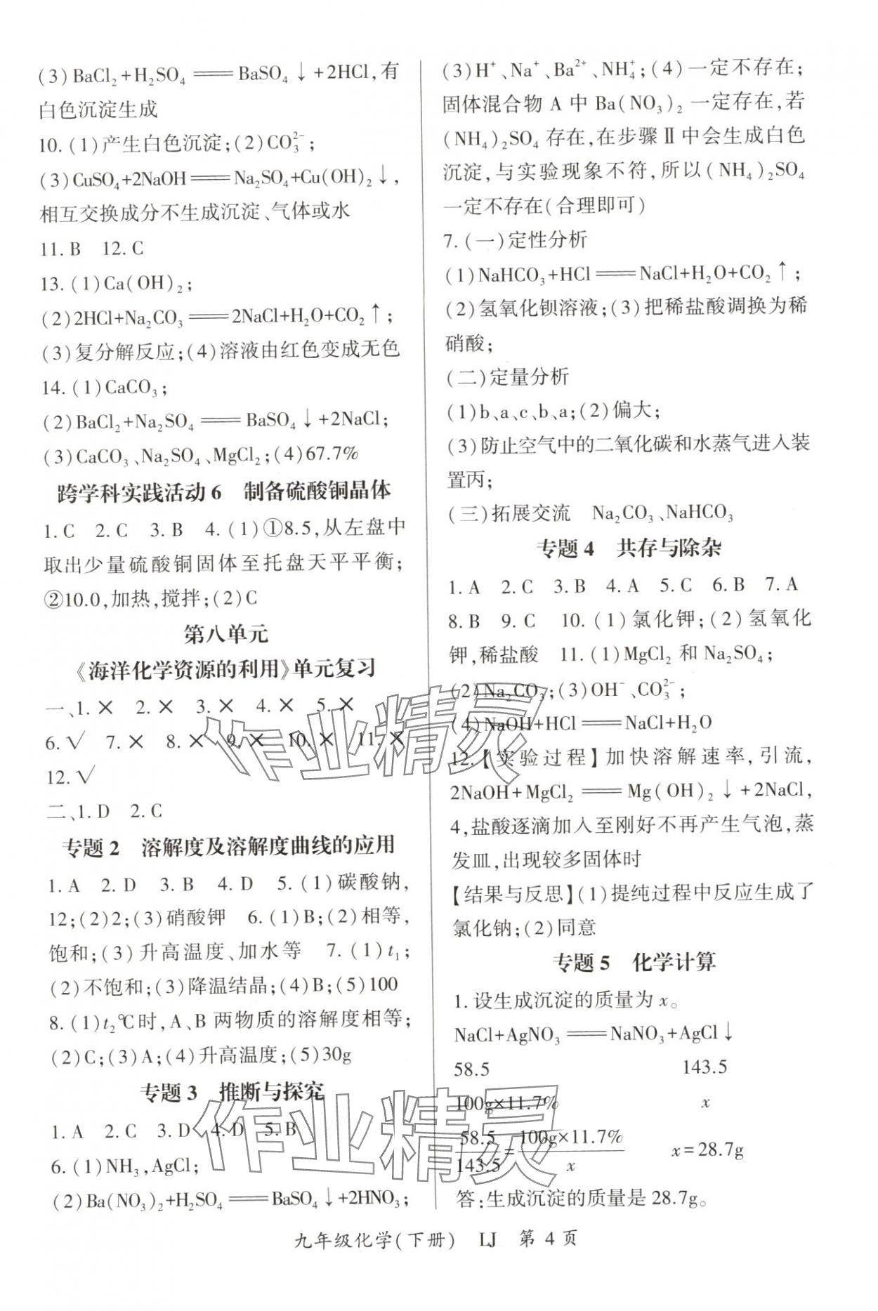 2025年啟航新課堂九年級(jí)化學(xué)下冊(cè)魯教版 參考答案第4頁(yè)