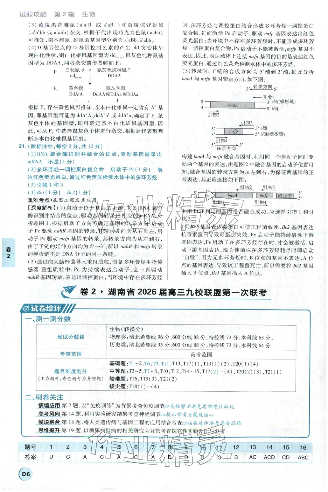 2026年理想樹試題攻略高中生物&nbsp;參考答案第5頁