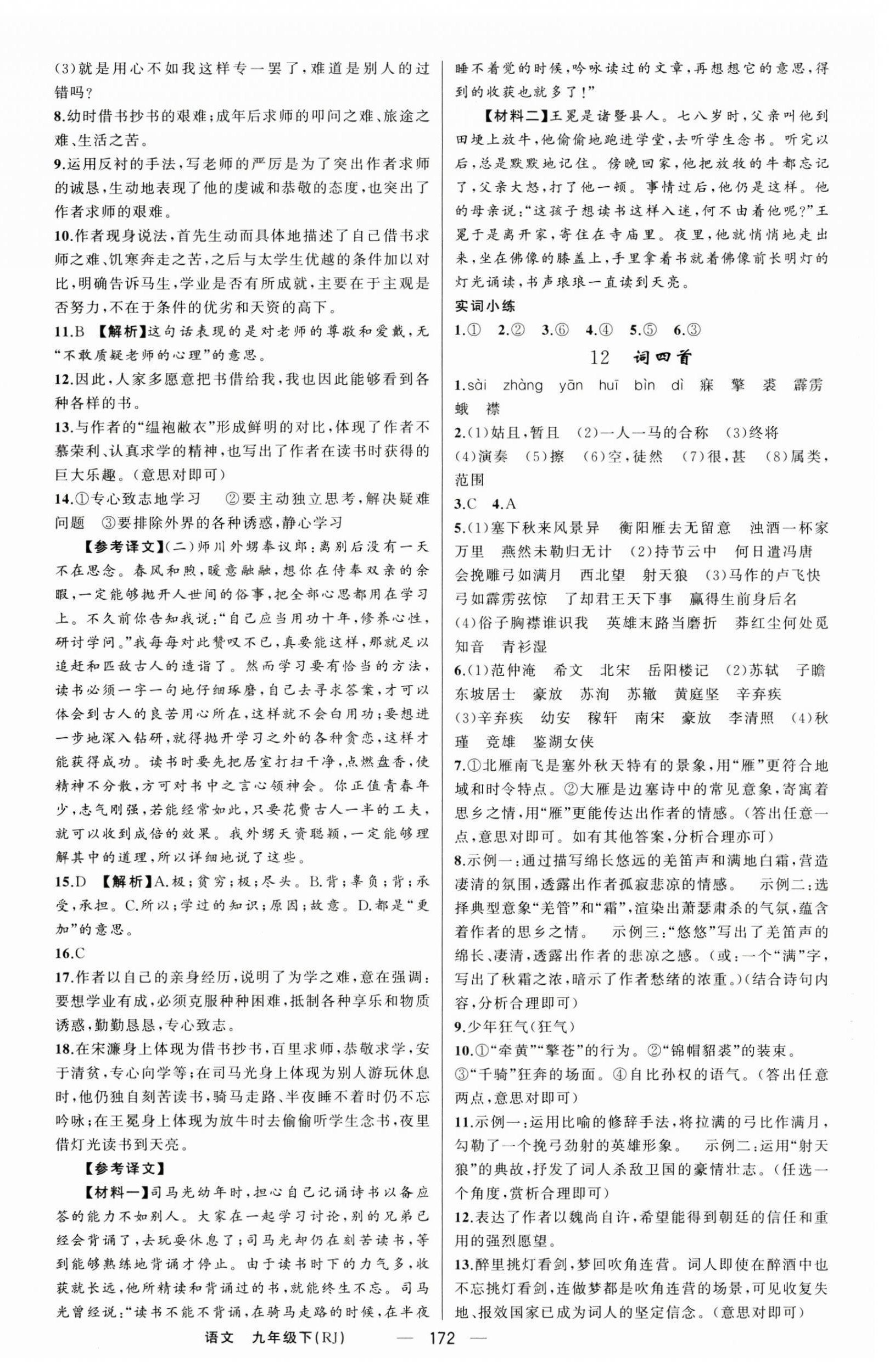 2025年四清導(dǎo)航九年級語文下冊人教版河南專版 第8頁