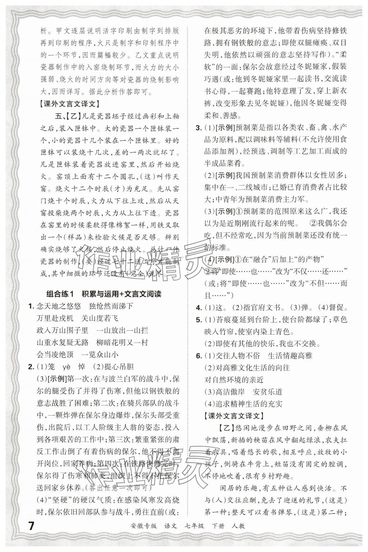 2025年王朝霞各地期末试卷精选七年级语文下册人教版安徽专版 参考答案第7页