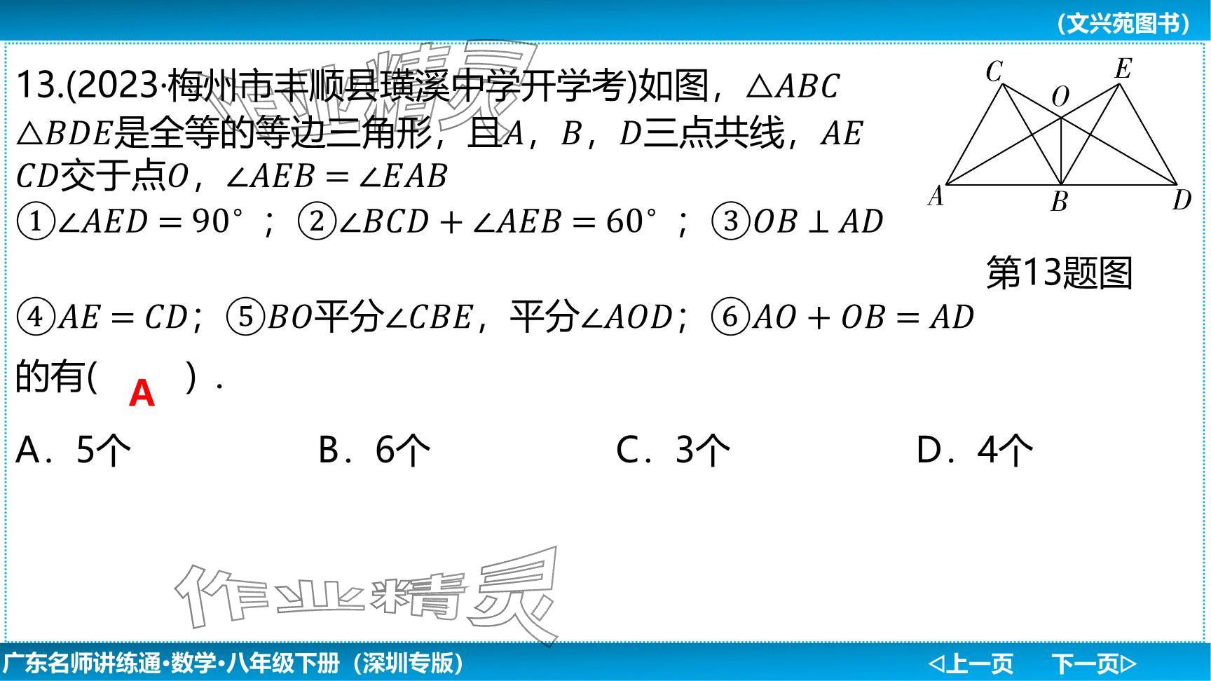 2024年廣東名師講練通八年級數(shù)學(xué)下冊北師大版深圳專版提升版 參考答案第31頁