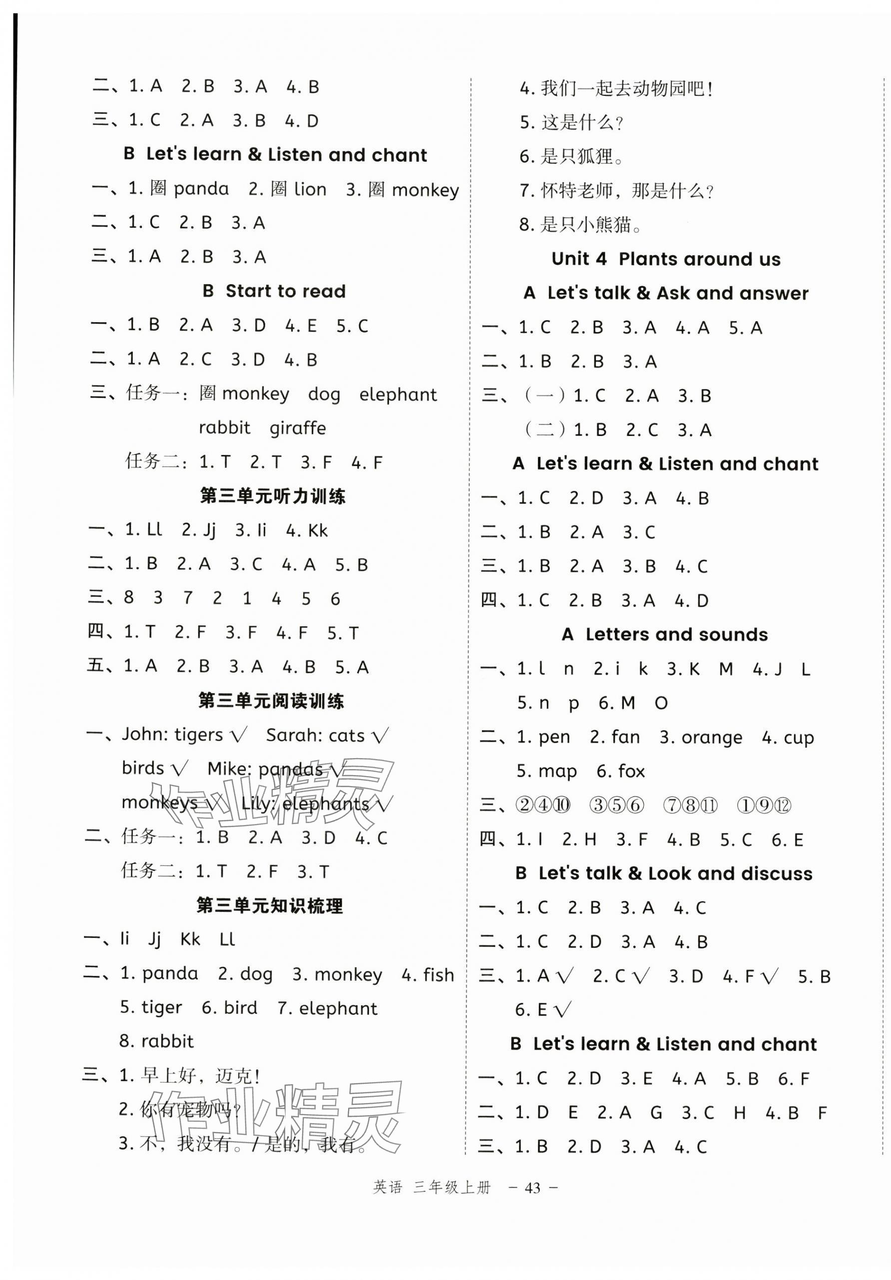 2024年名師面對面先學(xué)后練三年級英語上冊人教版浙江專版 參考答案第3頁