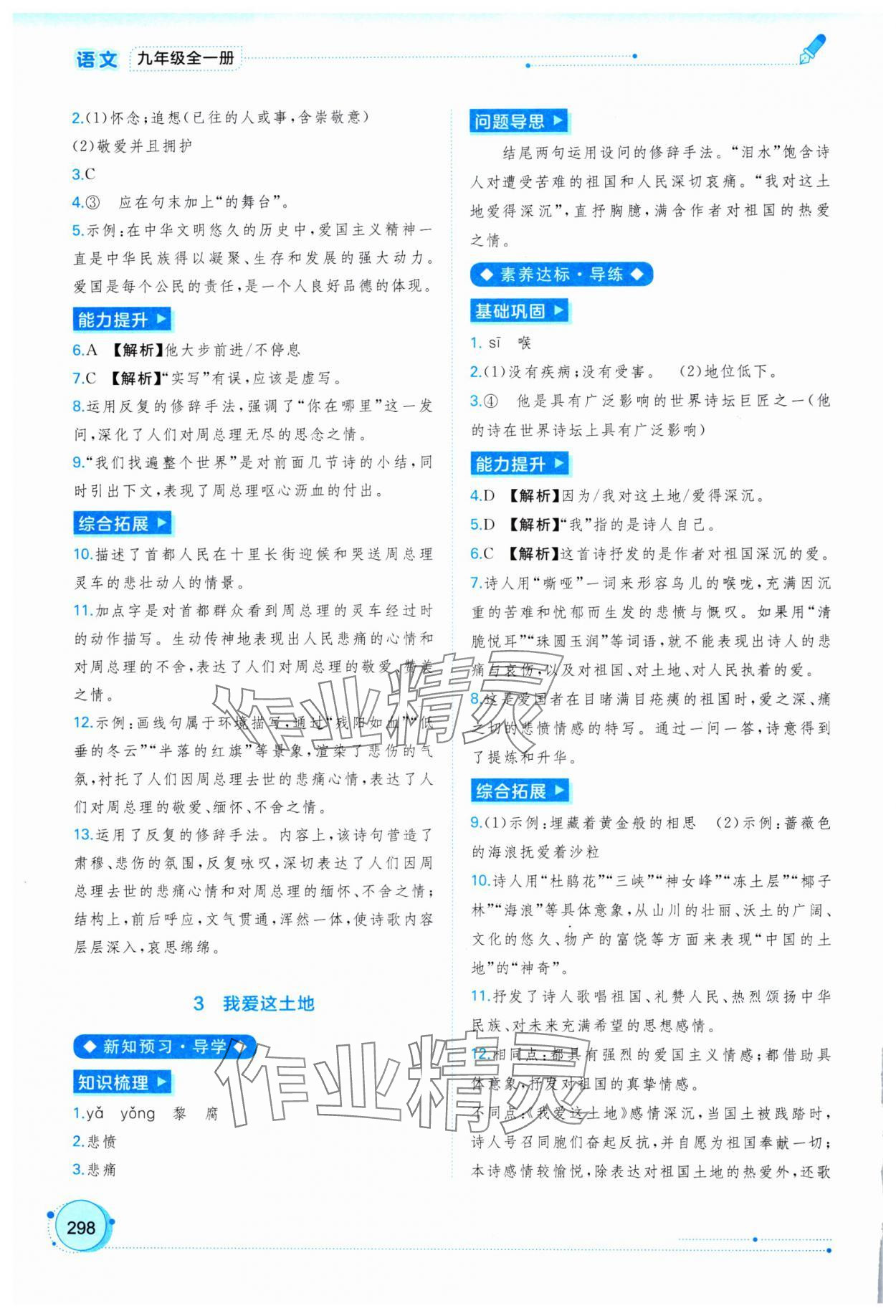2025年新课程学习与测评同步学习九年级语文全一册人教版 第2页