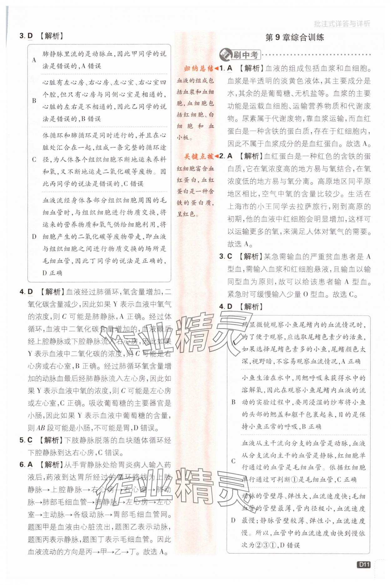 2024年初中必刷题七年级生物下册人教版 第11页