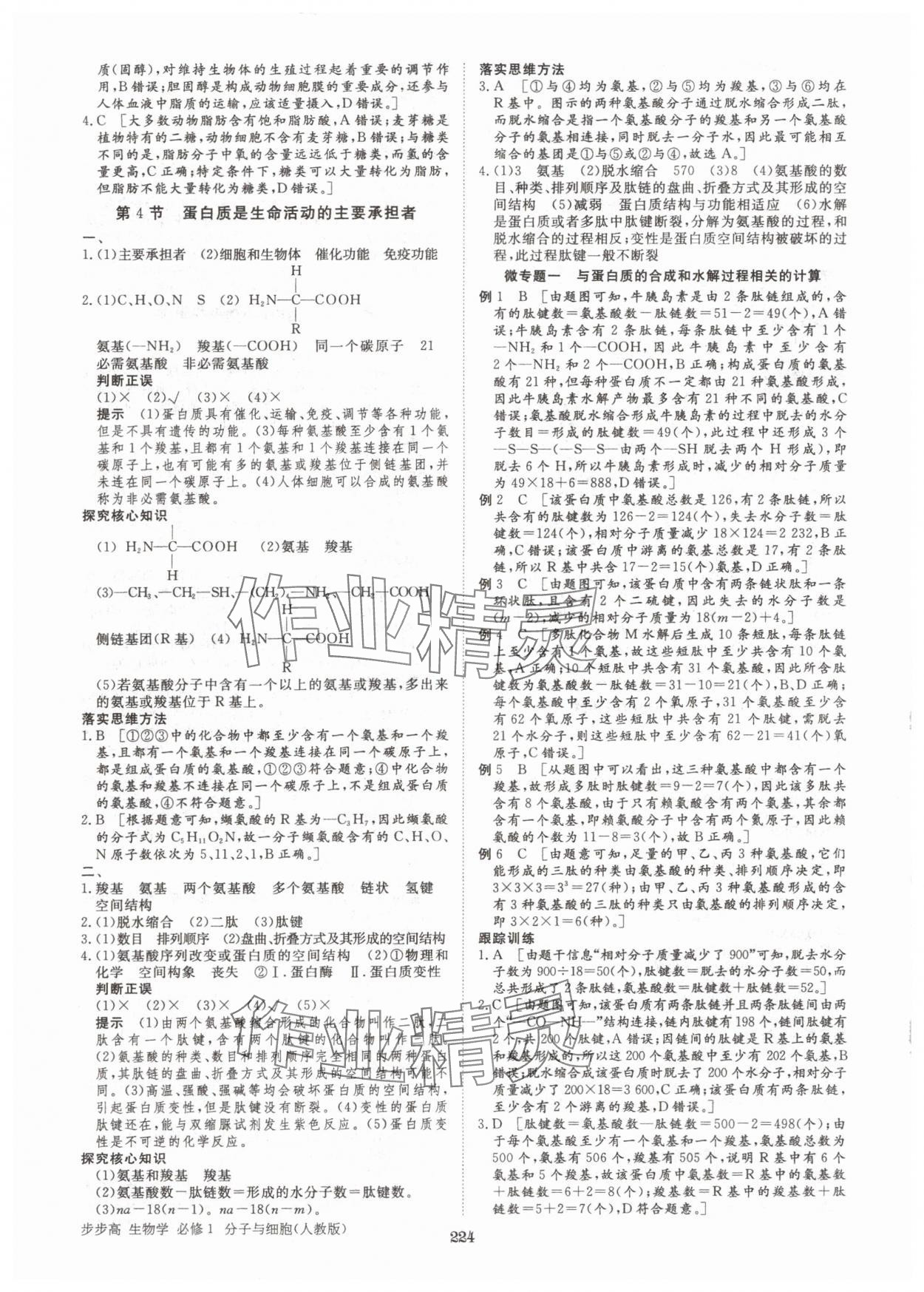2025年步步高學習筆記高中生物必修1人教版 參考答案第3頁