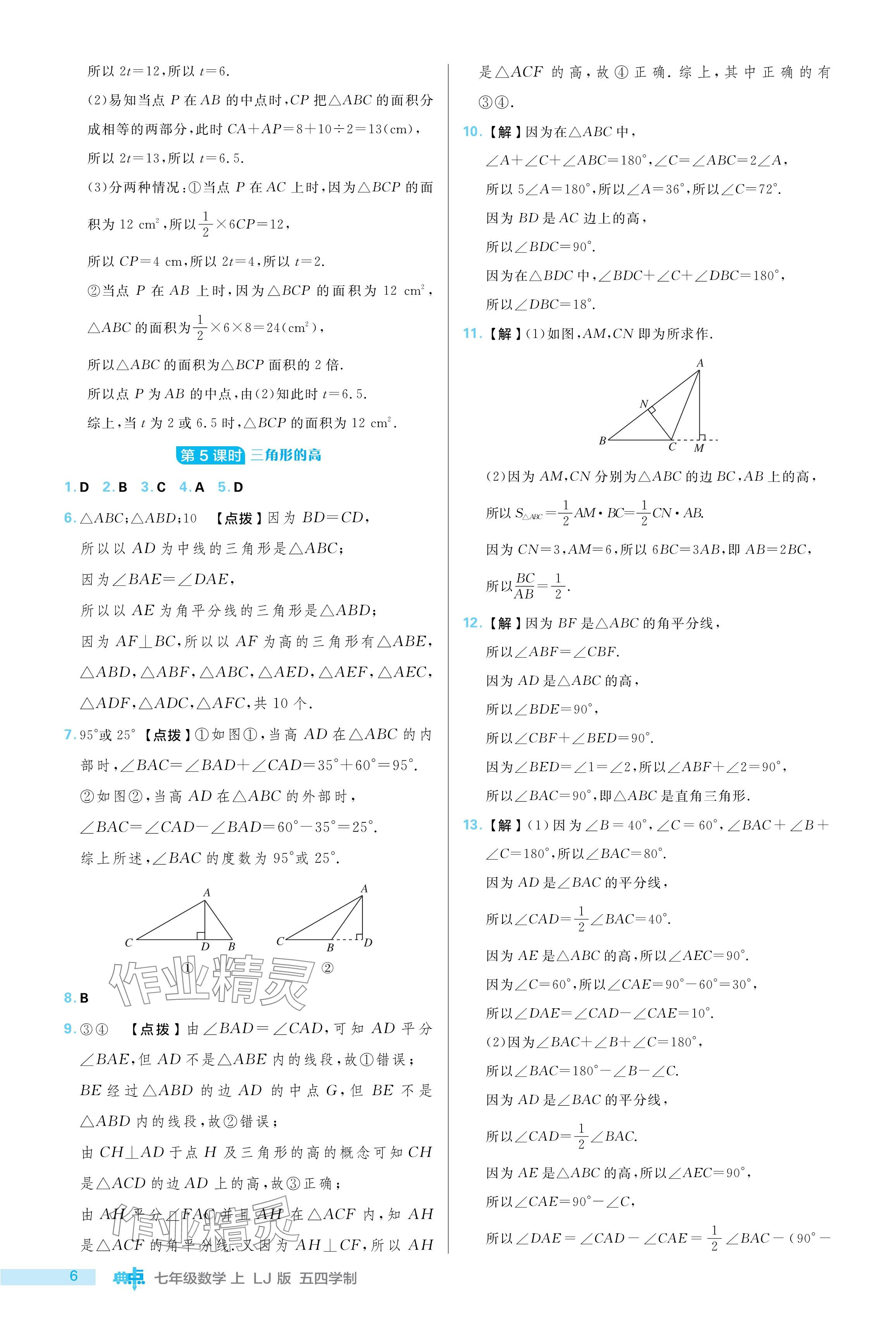 2024年綜合應(yīng)用創(chuàng)新題典中點(diǎn)七年級數(shù)學(xué)上冊魯教版54制 參考答案第6頁