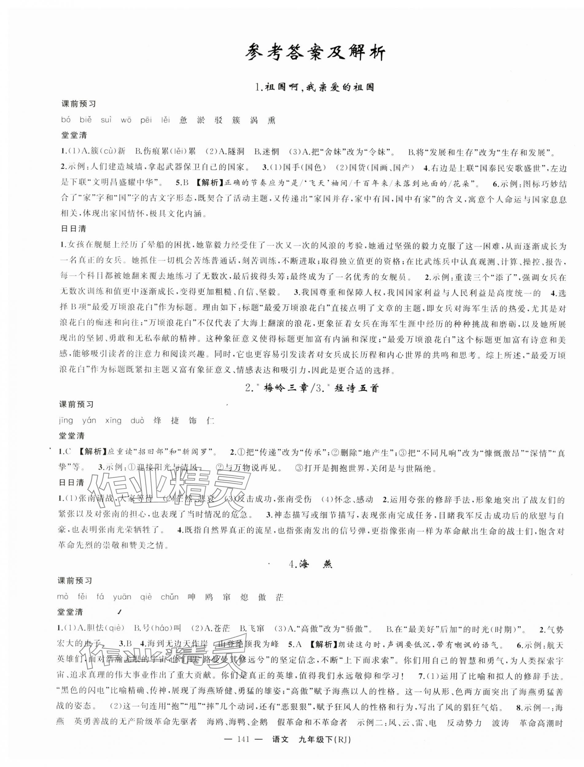 2025年四清导航九年级语文下册人教版湖北专版 第1页