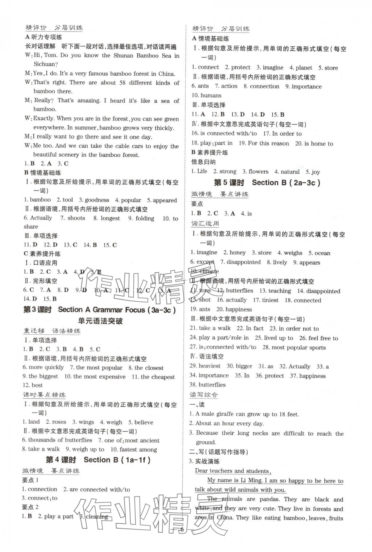 2025年初中同步学习导与练导学探究案八年级英语上册人教版 第6页