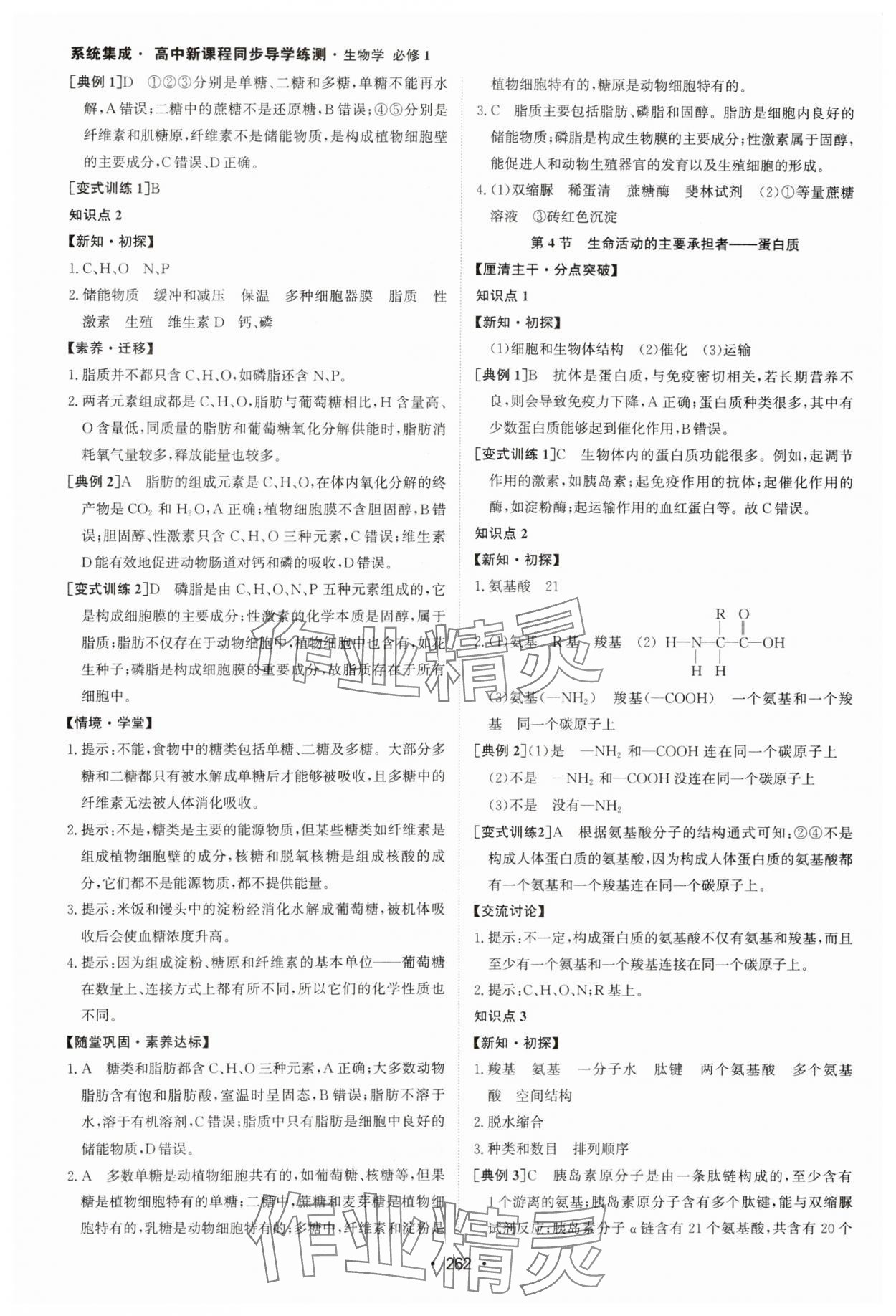 2024年系統(tǒng)集成新課程同步導(dǎo)學(xué)練測(cè)高中生物必修1人教版 參考答案第4頁