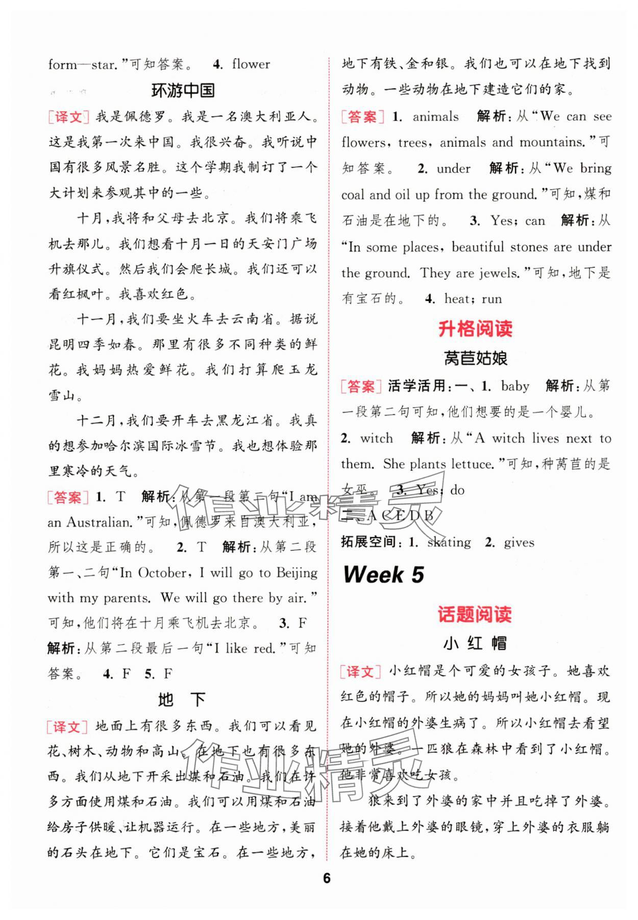 2024年通城學典閱讀能手五年級英語下冊 參考答案第6頁