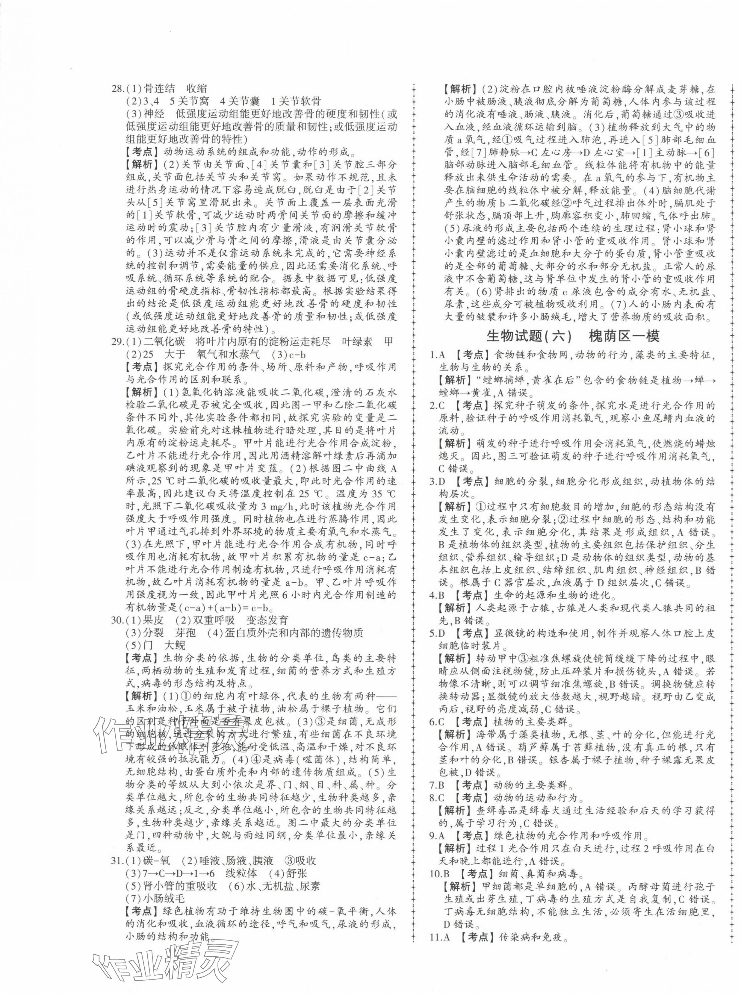 2025年中考114生物濟(jì)南專版&nbsp;第9頁