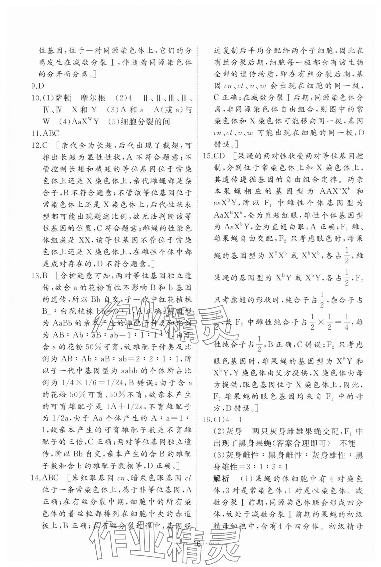 2025年三維隨堂精練高中生物必修2人教版 第16頁