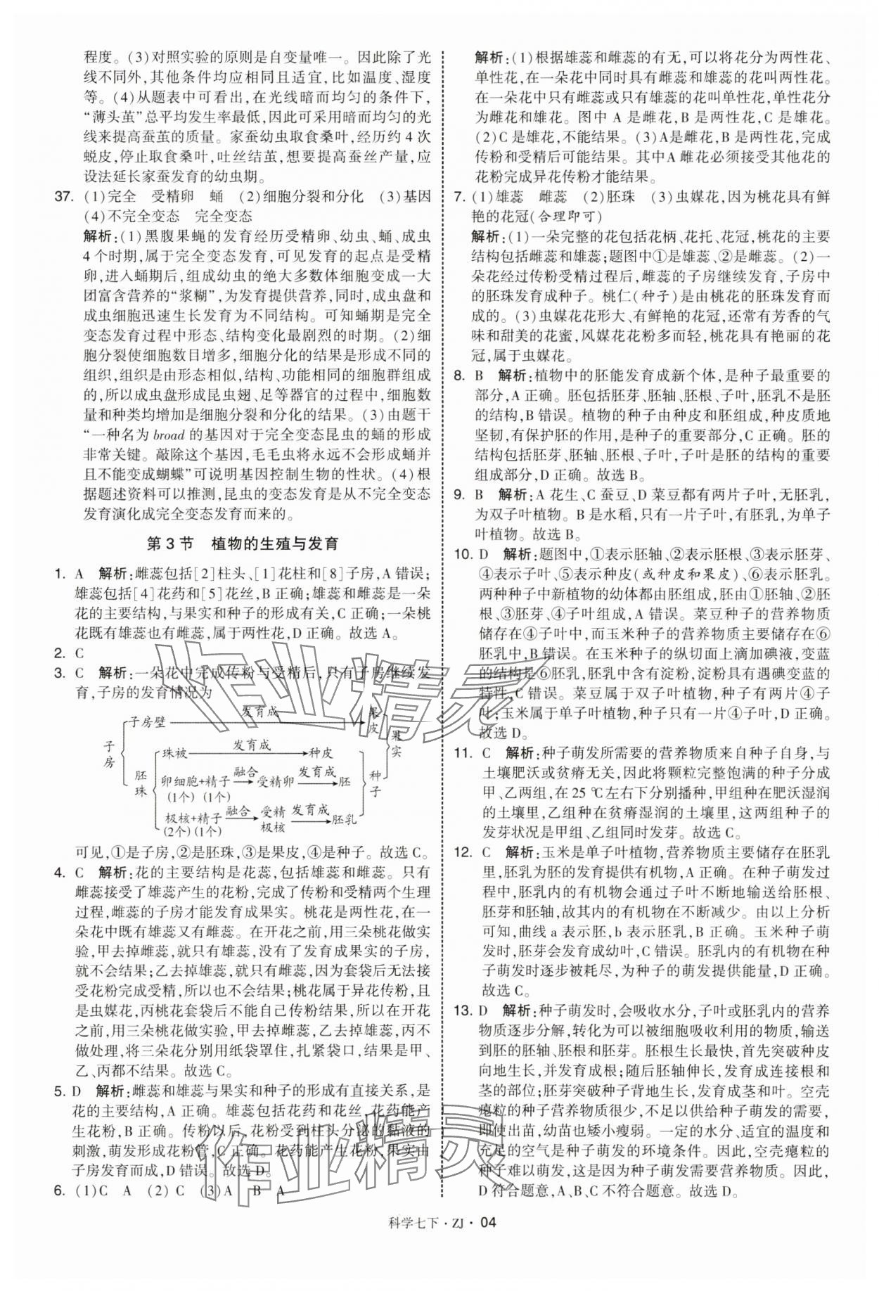 2025年學霸題中題七年級科學下冊浙教版 第4頁
