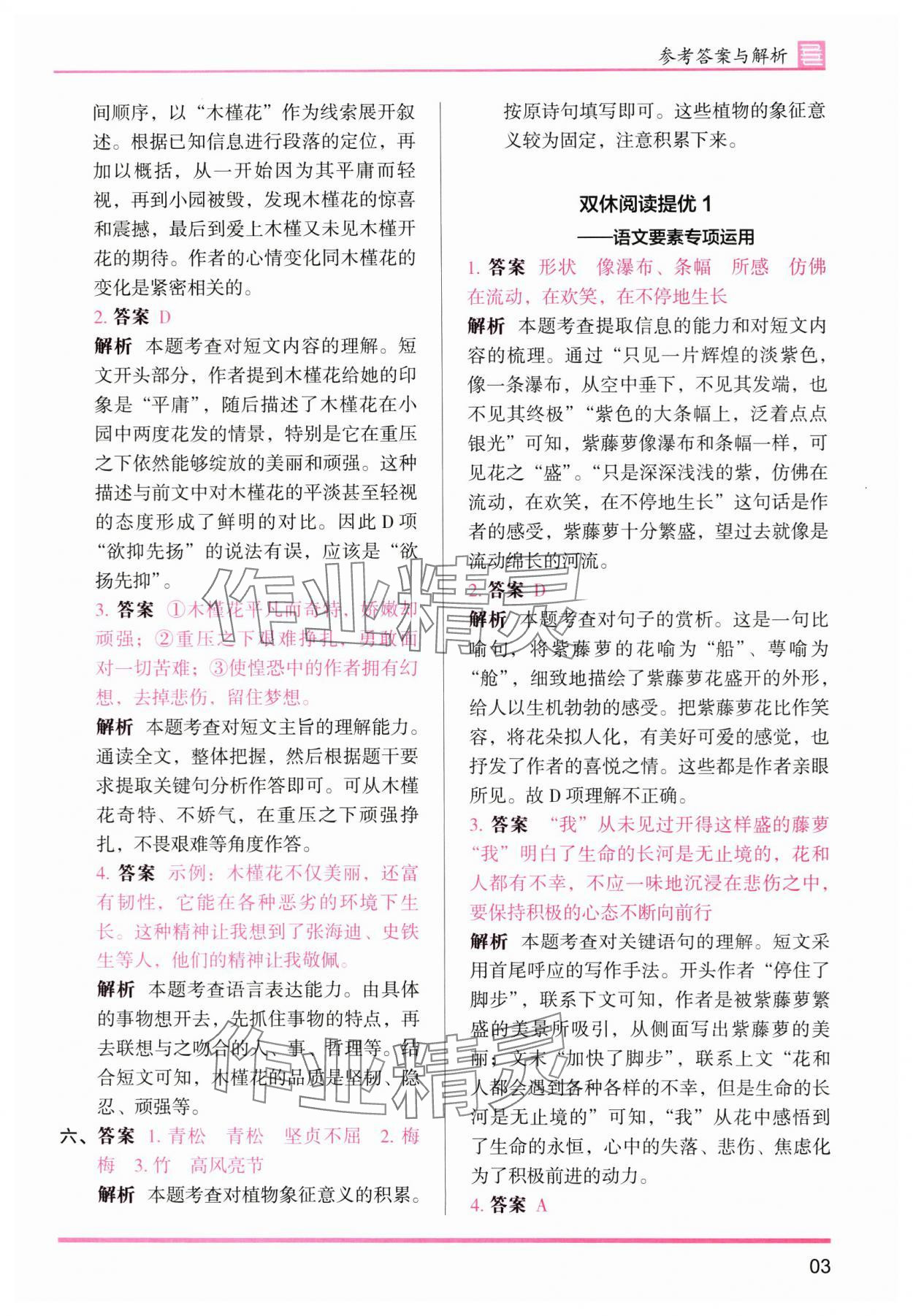 2025年木頭馬分層課課練六年級語文上冊人教版浙江專版 第3頁