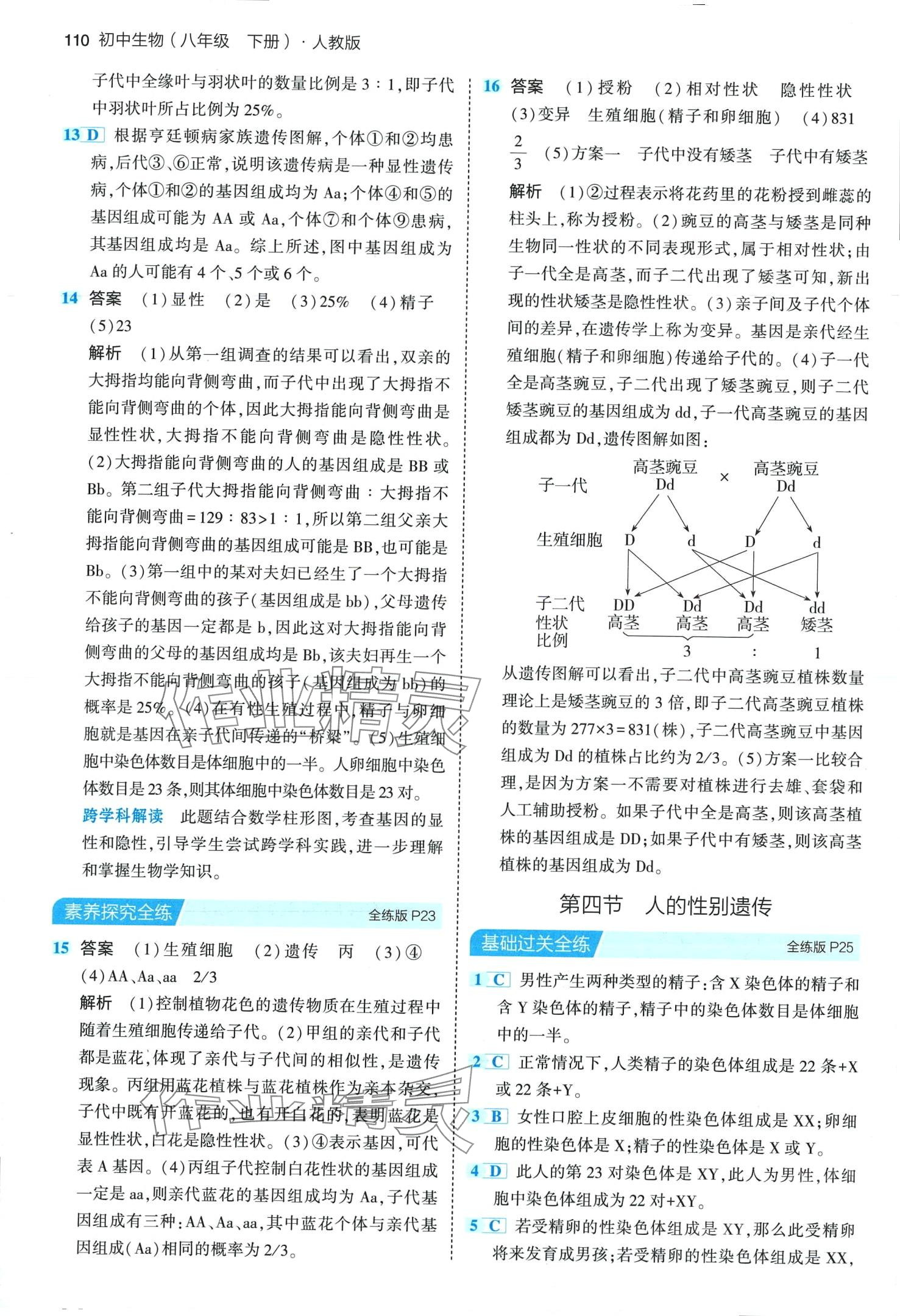 2024年5年中考3年模擬八年級(jí)生物下冊(cè)人教版 第8頁(yè)