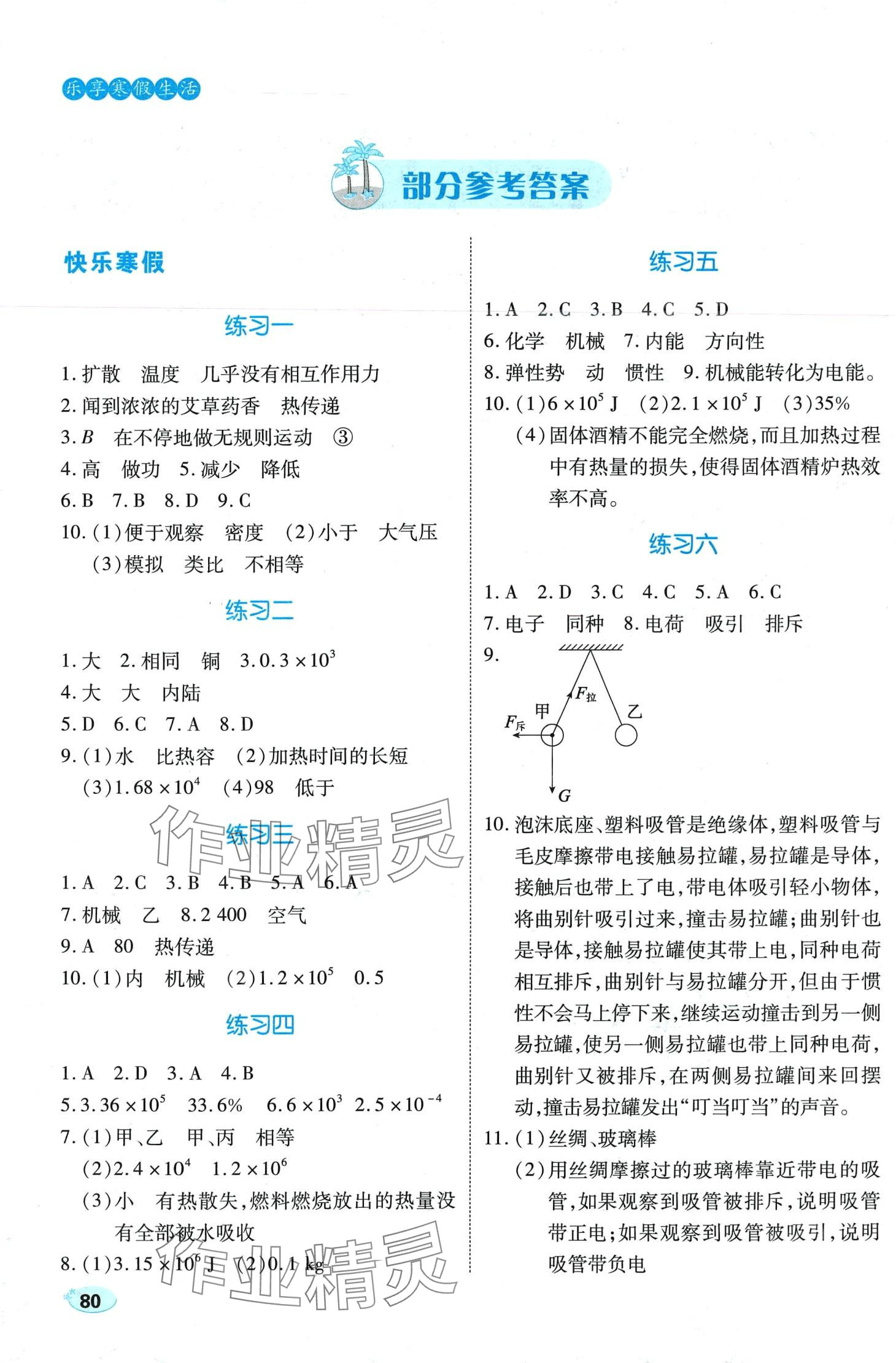 2024年樂享寒假生活九年級物理 第1頁