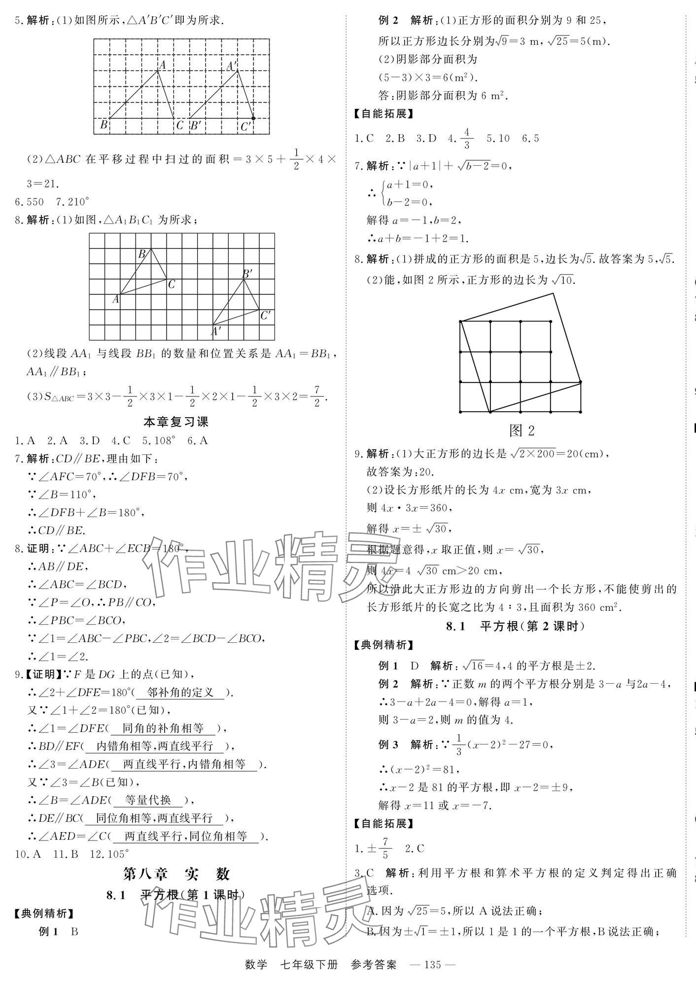 2025年自能導學七年級數學下冊人教版 第5頁