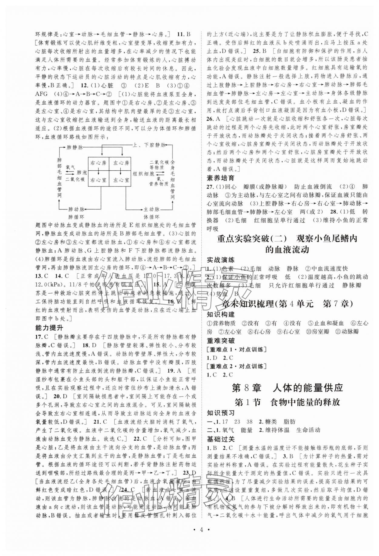 2025年課堂導(dǎo)學(xué)七年級(jí)生物下冊(cè)北師大版 第4頁(yè)