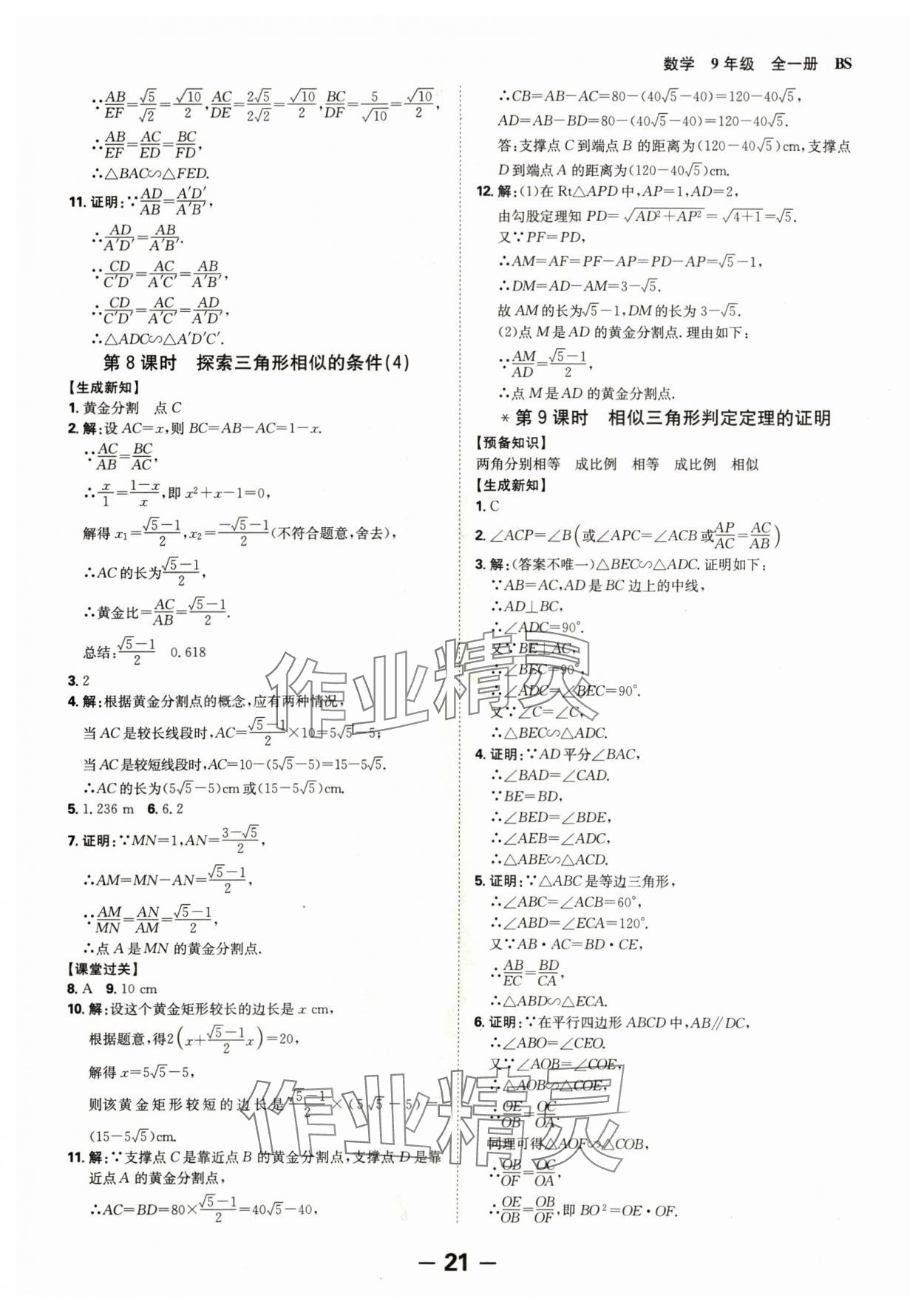 2024年全程突破九年级数学全一册北师大版 第21页