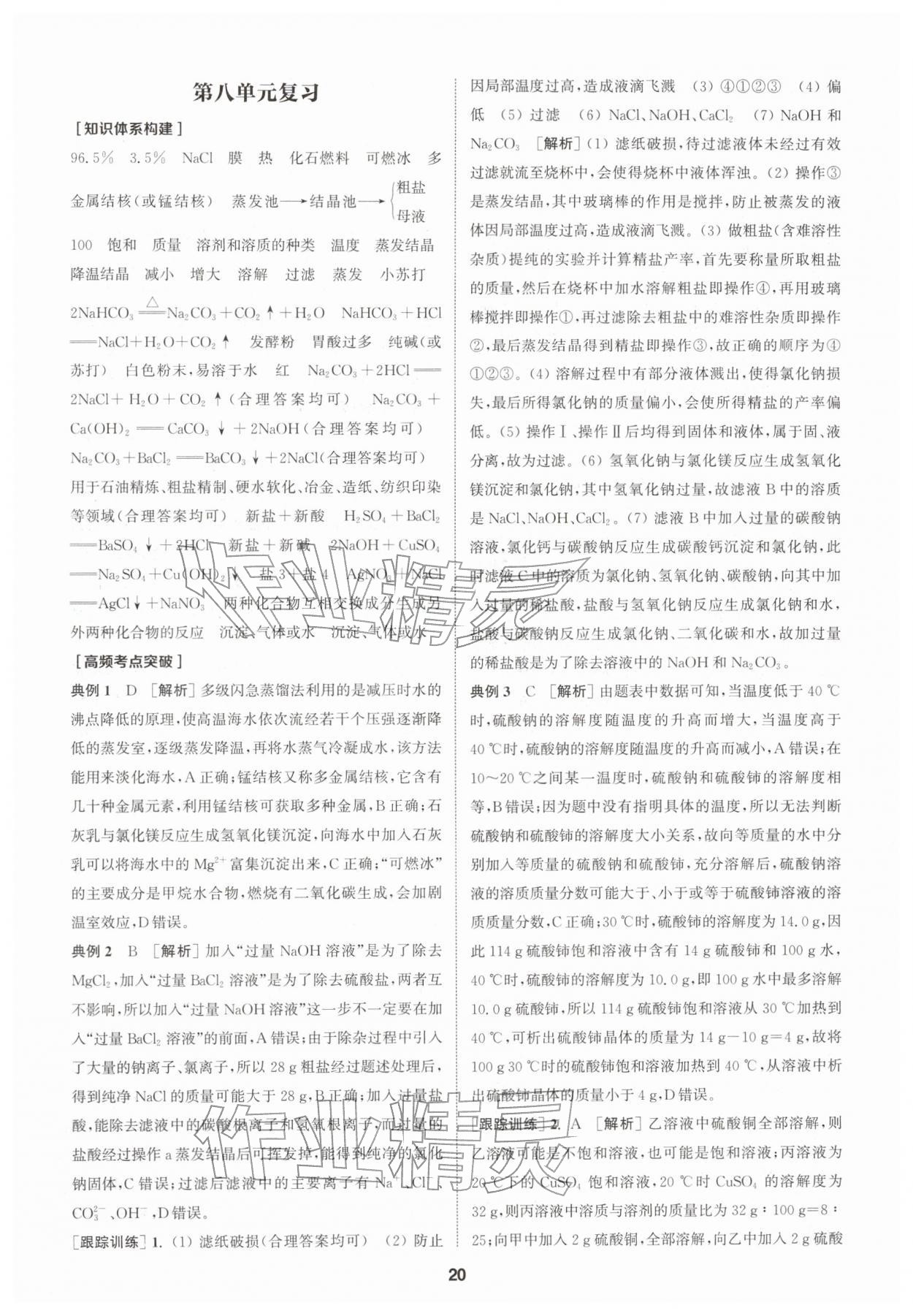 2026年拔尖特训九年级化学下册鲁教版&nbsp;第20页