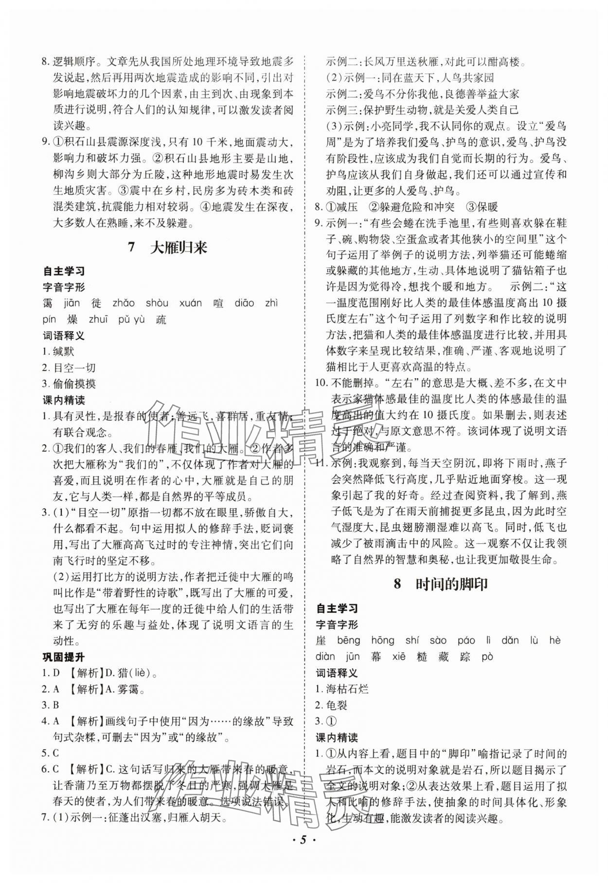 2025年本土攻略八年級語文下冊人教版云南專版 參考答案第5頁