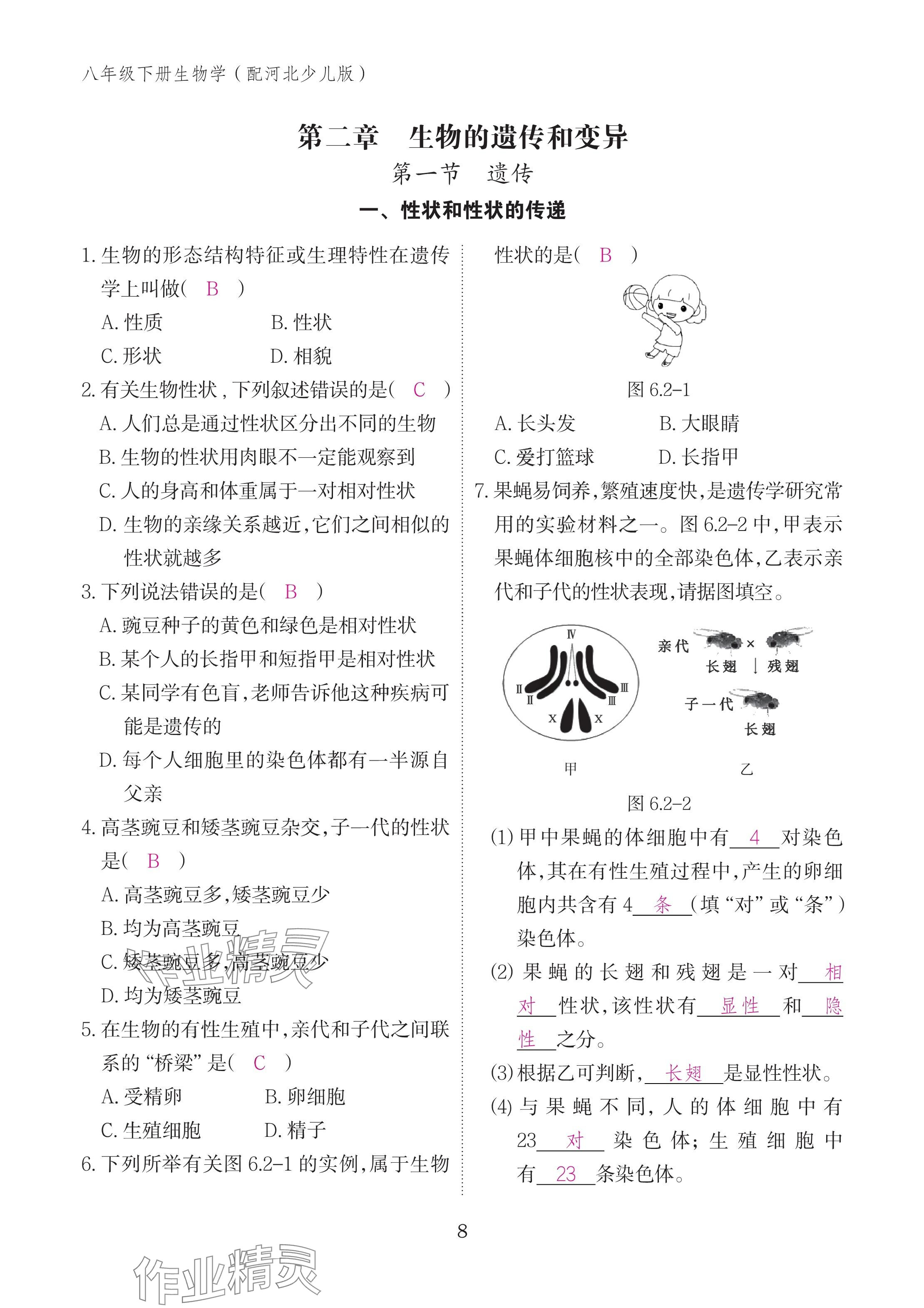 2025年作業本江西教育出版社八年級生物下冊冀少版 參考答案第8頁