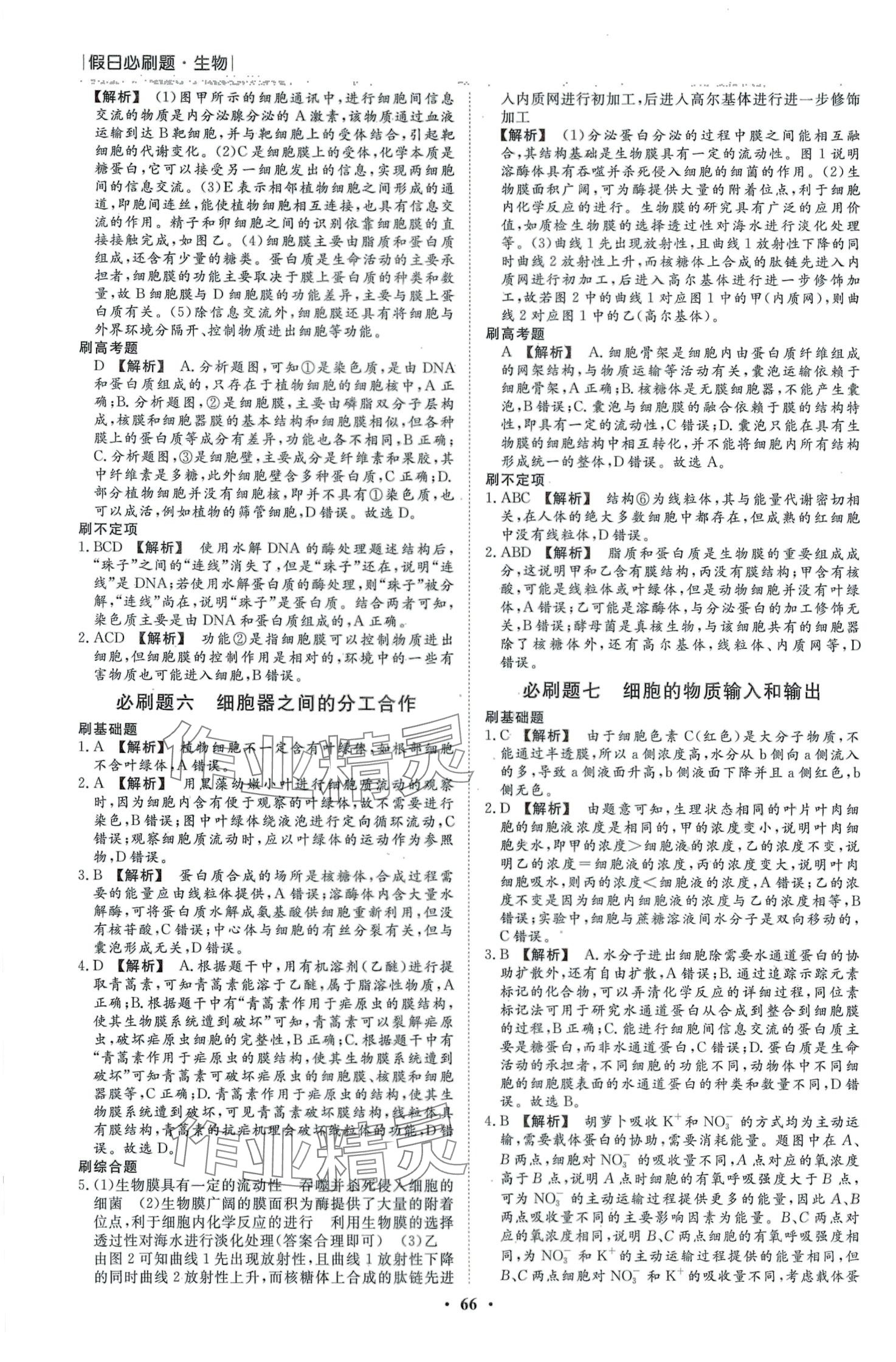 2024年高中假日必刷题高一生物 第4页