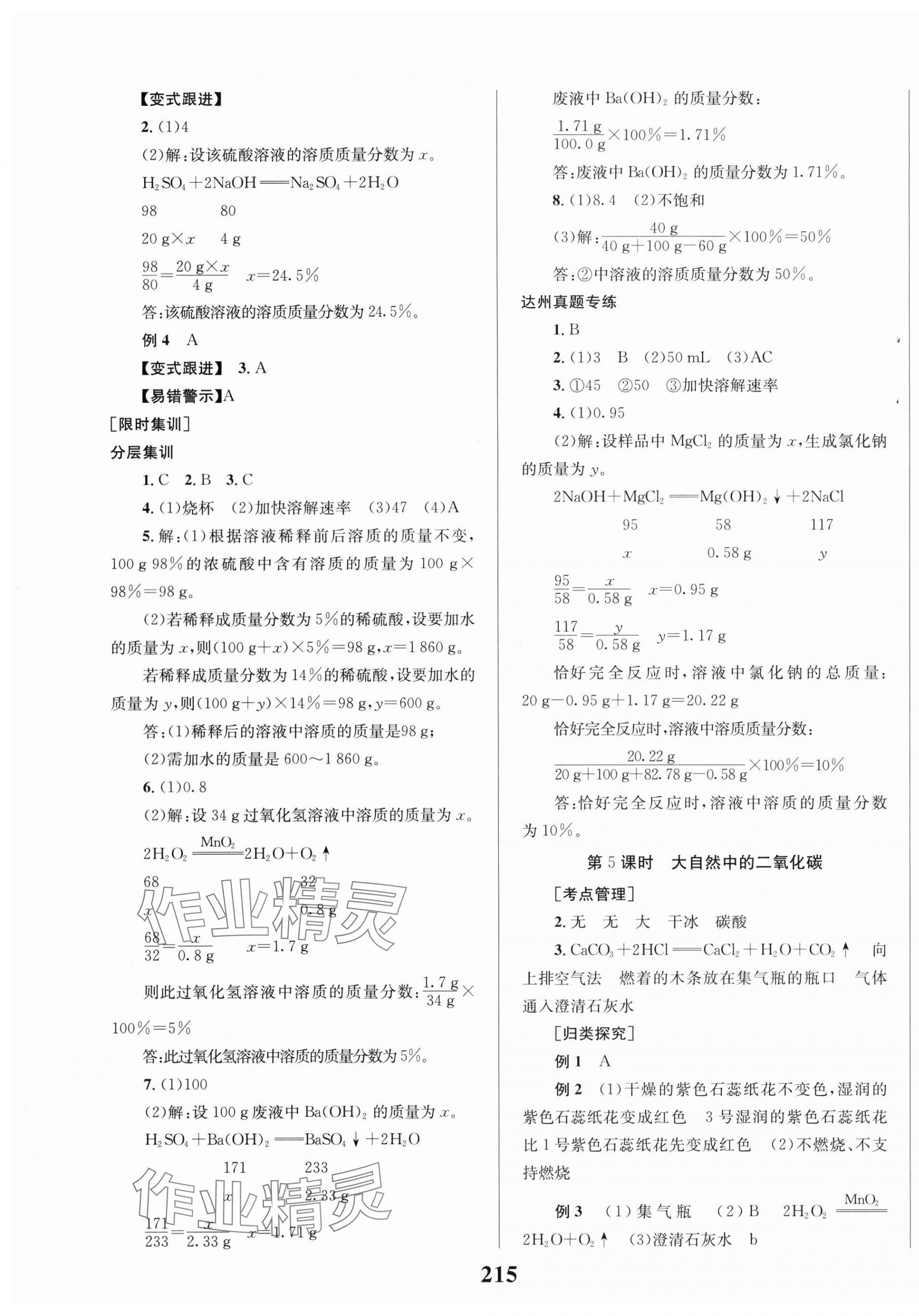 2024年全程夺冠中考突破化学达州专版 第3页