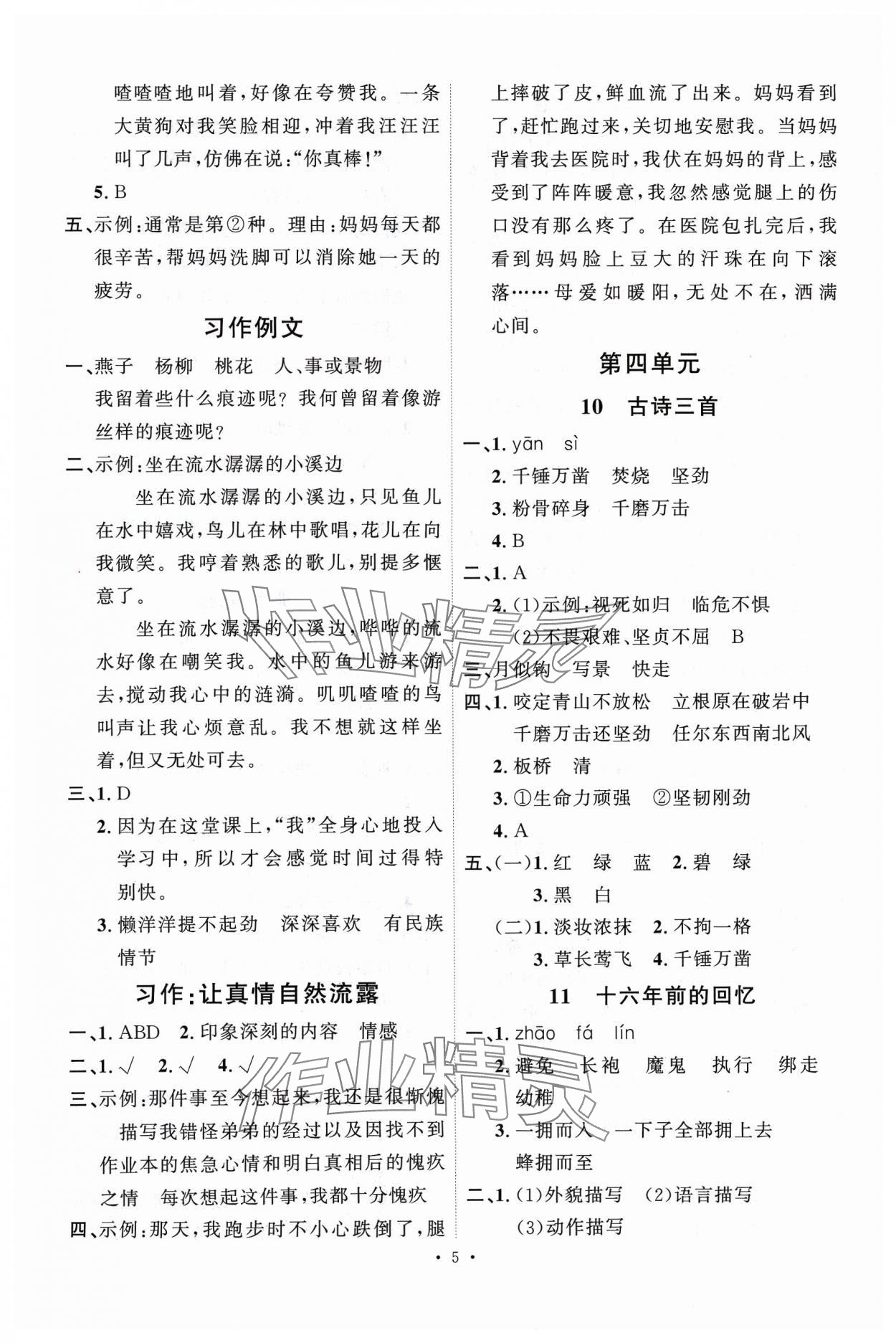 2024年每时每刻快乐优加作业本六年级语文下册人教版 参考答案第5页