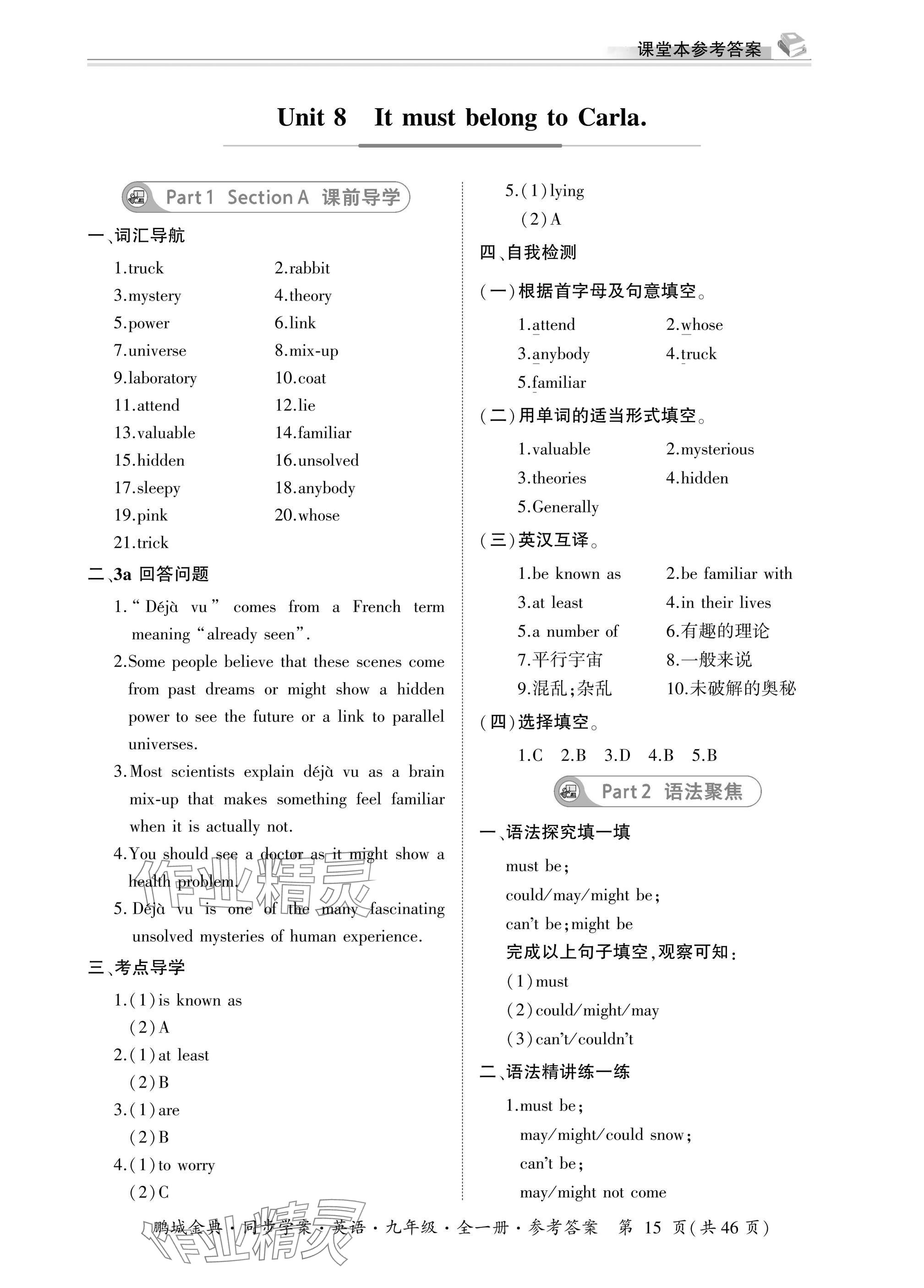 2025年名师帮同步学案九年级英语全一册人教版 参考答案第15页