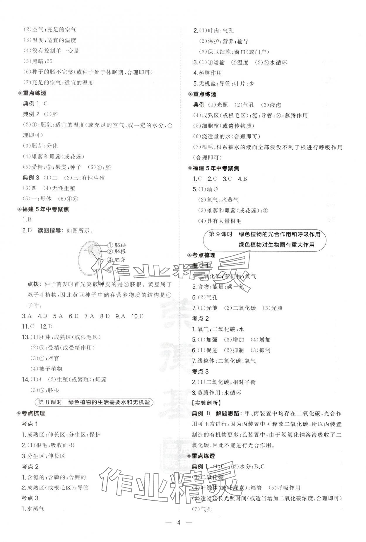 2025年榮德基點撥中考生物福建專版 第4頁