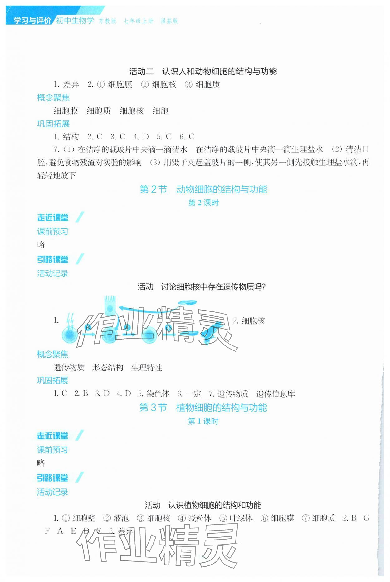 2024年學(xué)習與評價江蘇鳳凰教育出版社七年級生物上冊蘇教版云南專版 參考答案第3頁