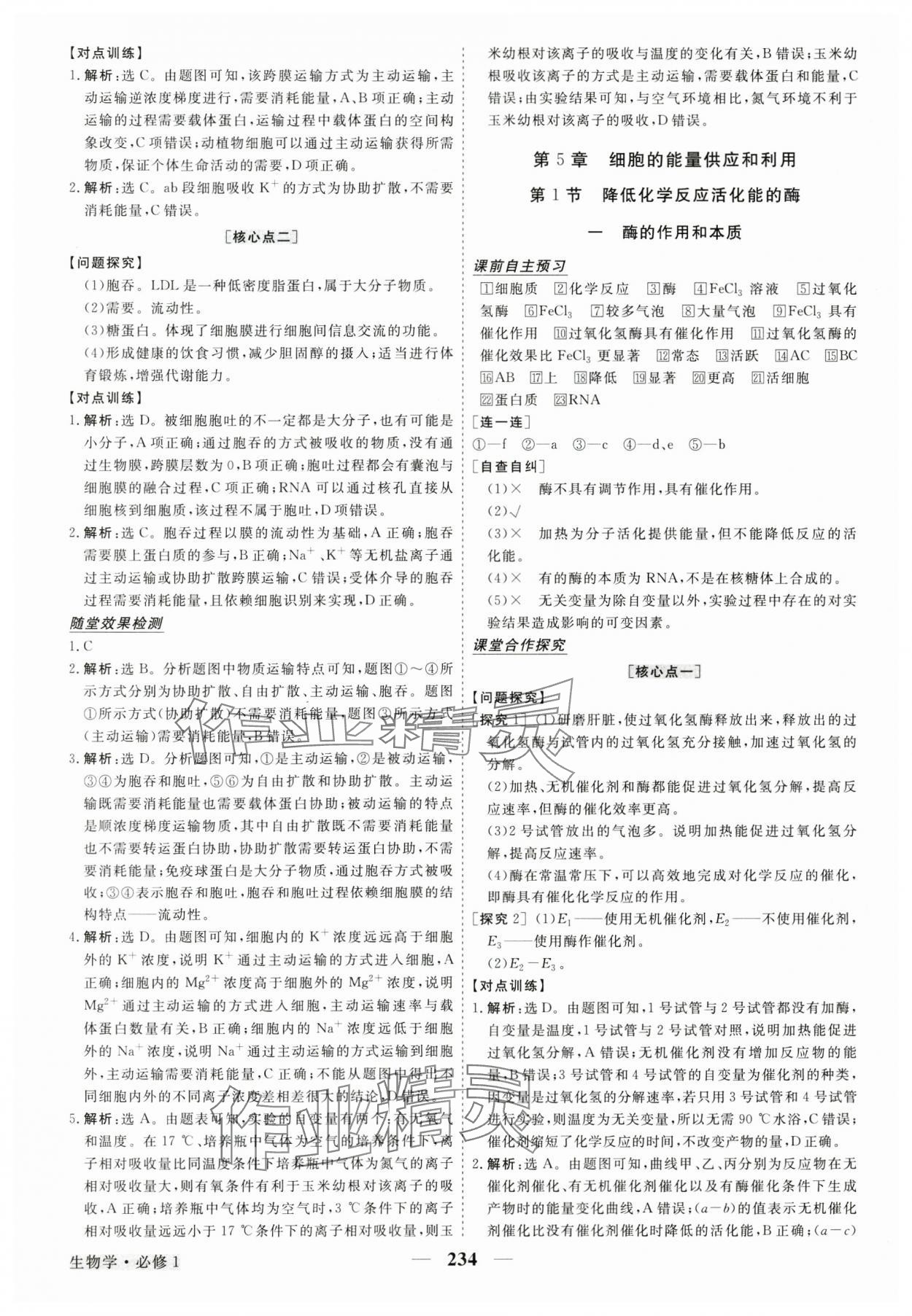 2024年高中同步創(chuàng)新課堂優(yōu)化方案高中生物必修1人教版 參考答案第13頁(yè)